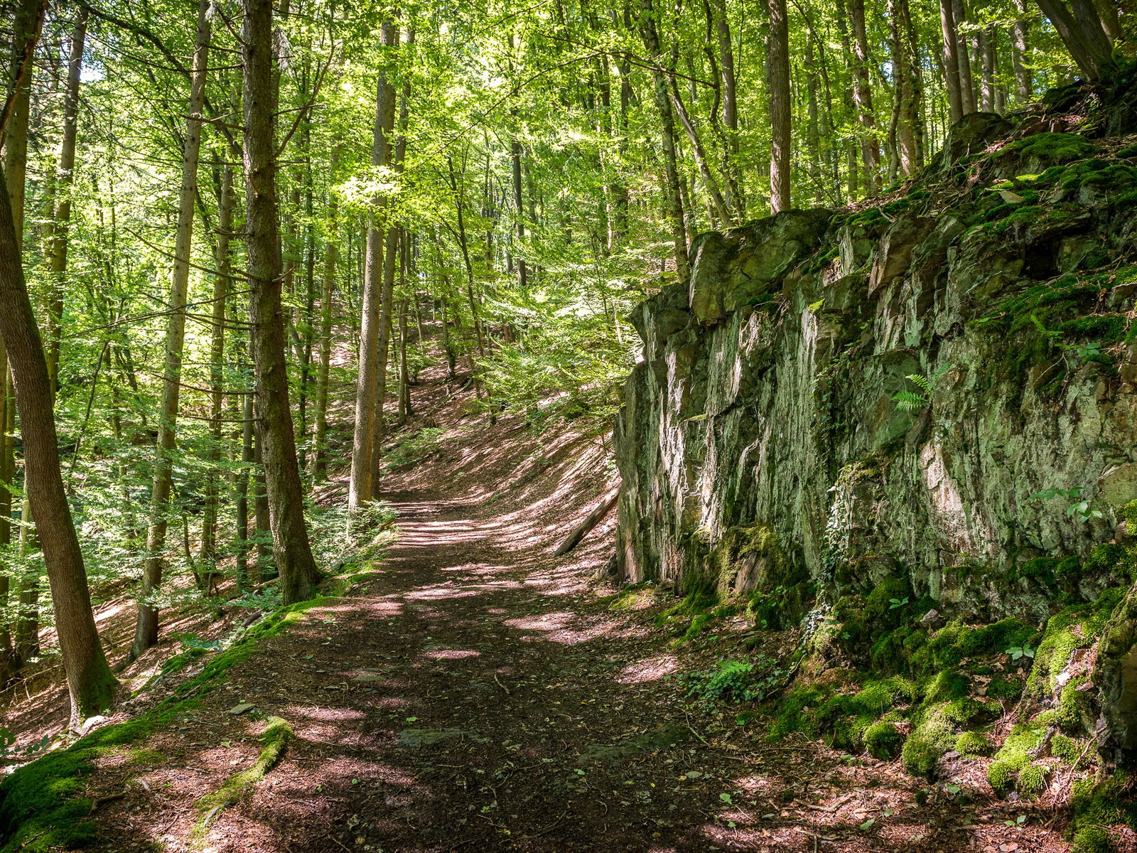 © Achim Meurer, Höhr Grenzhausen Natur, Brexbachtal, Westerwald, Wandern, Wald