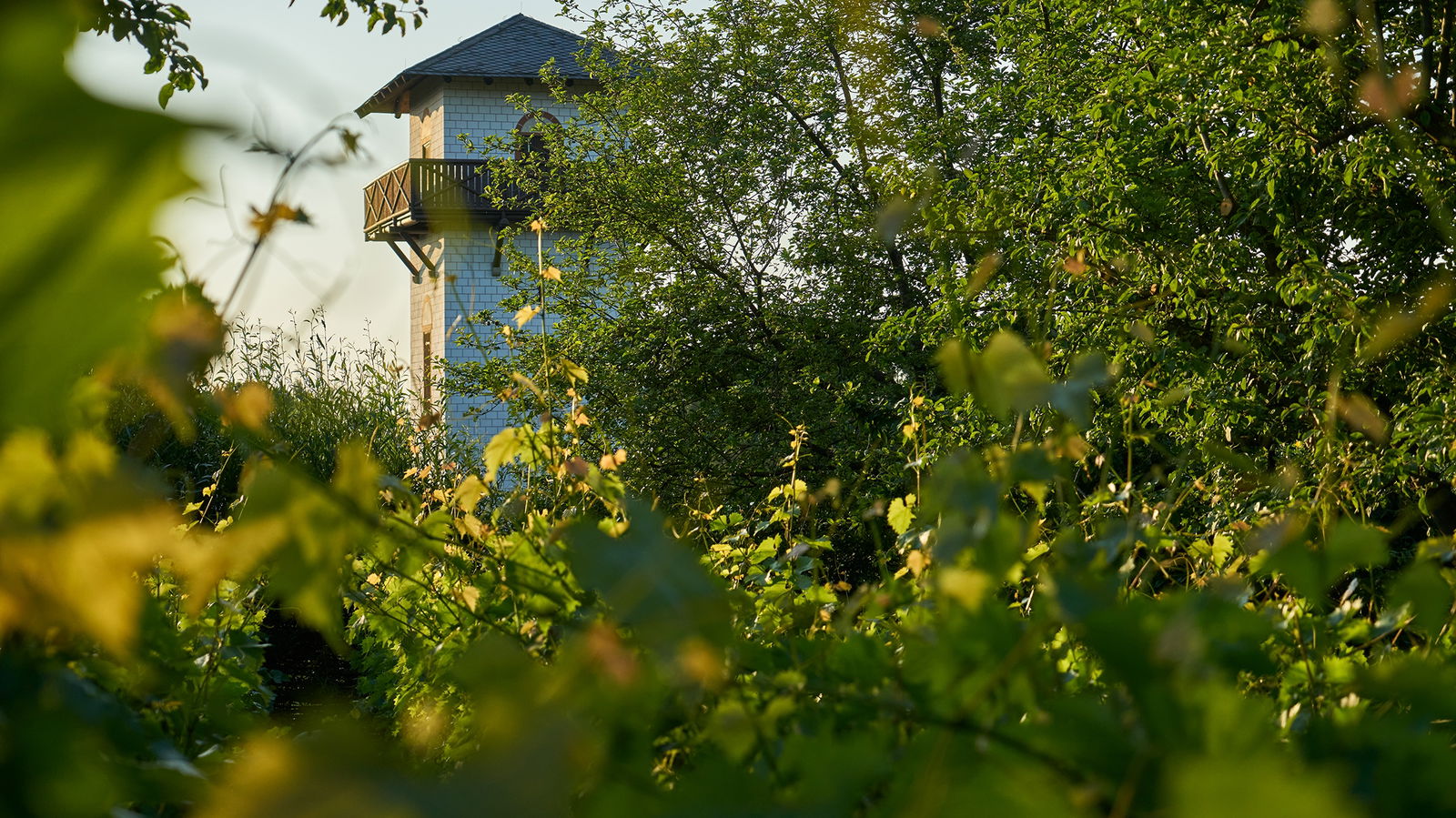 Limes, gr&uuml;n, limesturm, hillscheid, unesco, unesco welterbe, limes welterbe, r&ouml;mer, h&ouml;hr-grenzhausen, natur-kultur-keramik