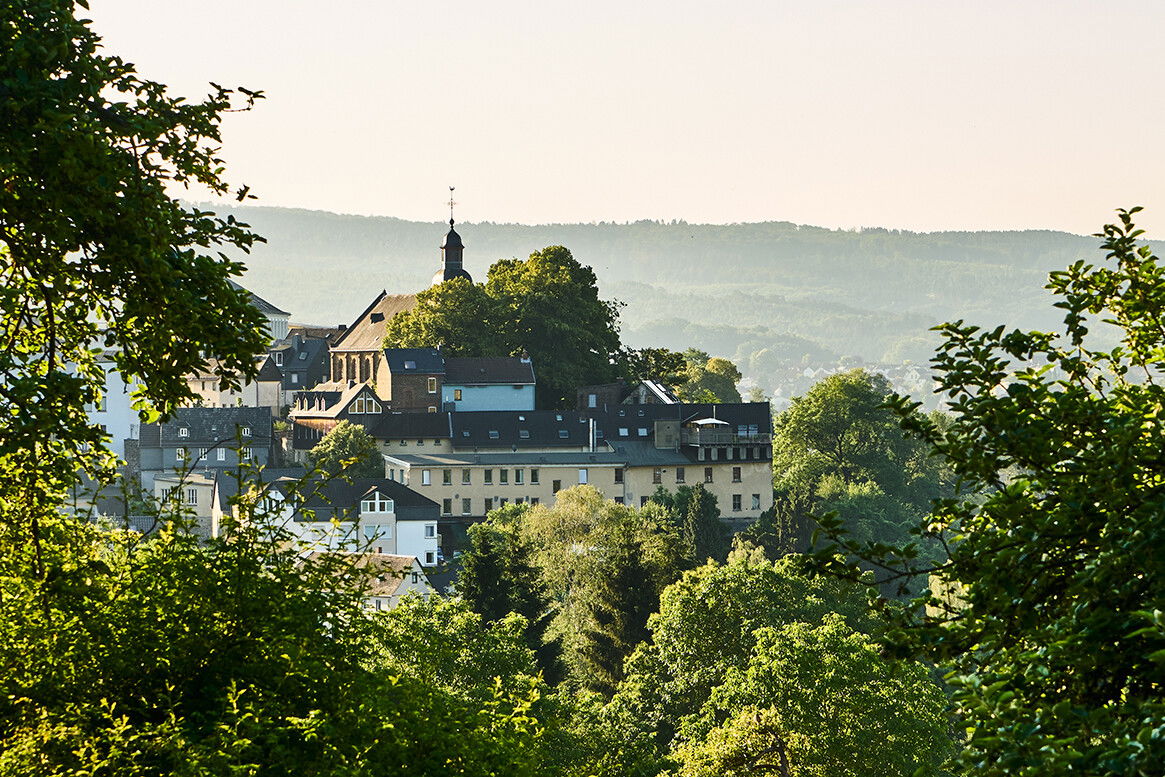 Blick auf den alten Stadtkern von Grenzhausen. Natur Kultur Keramik
