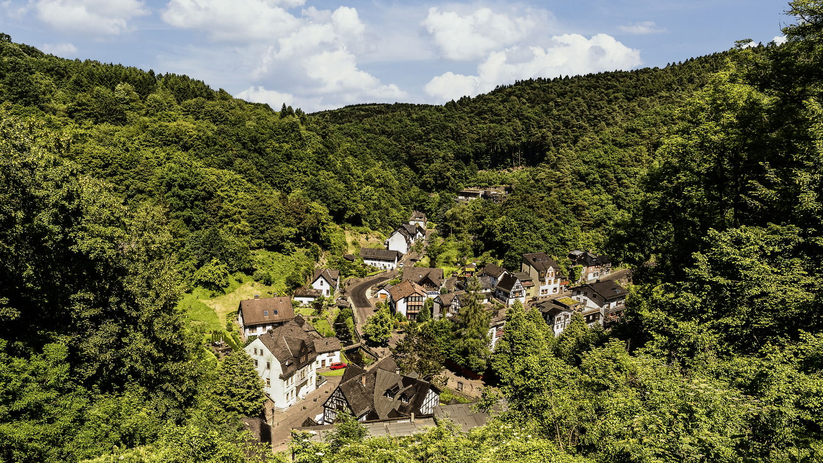 grenzhausen, grenzau, wald, natur, kannenb&auml;ckerland, westerwald, naturkulturkeramik, wandern