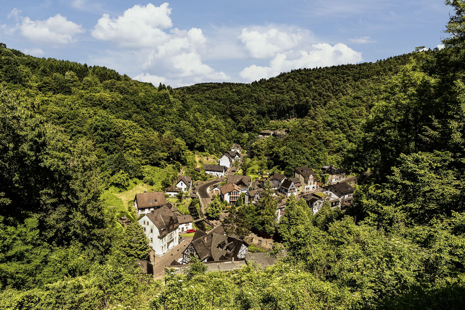 grenzhausen, grenzau, wald, natur, kannenb&auml;ckerland, westerwald, naturkulturkeramik, wandern