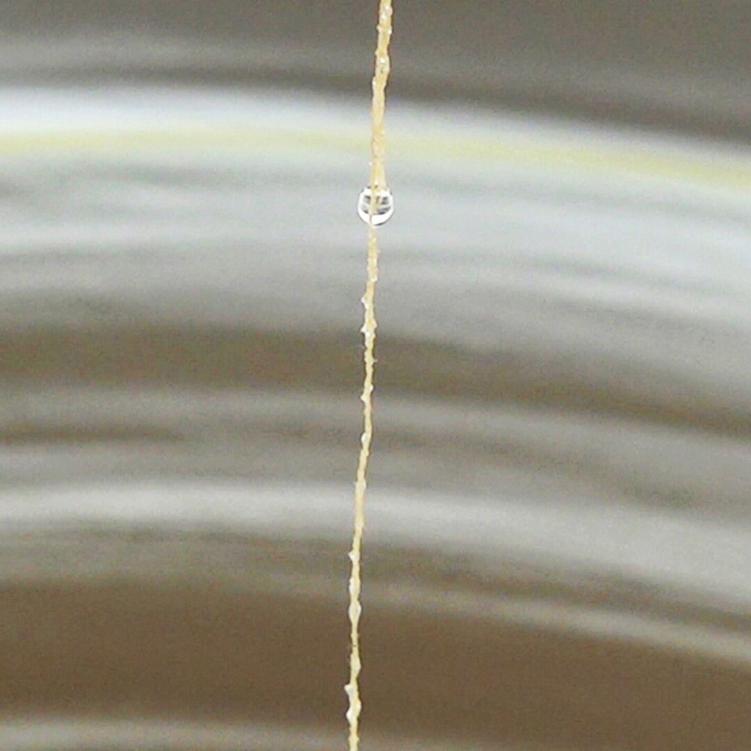 Juyoung Paek - Velocity 2019