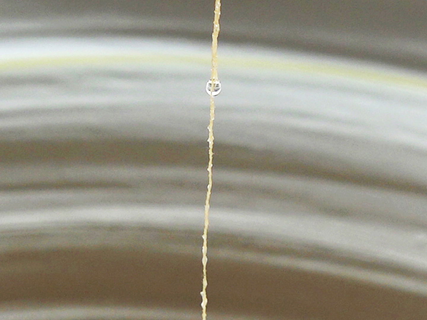 Juyoung Paek - Velocity 2019