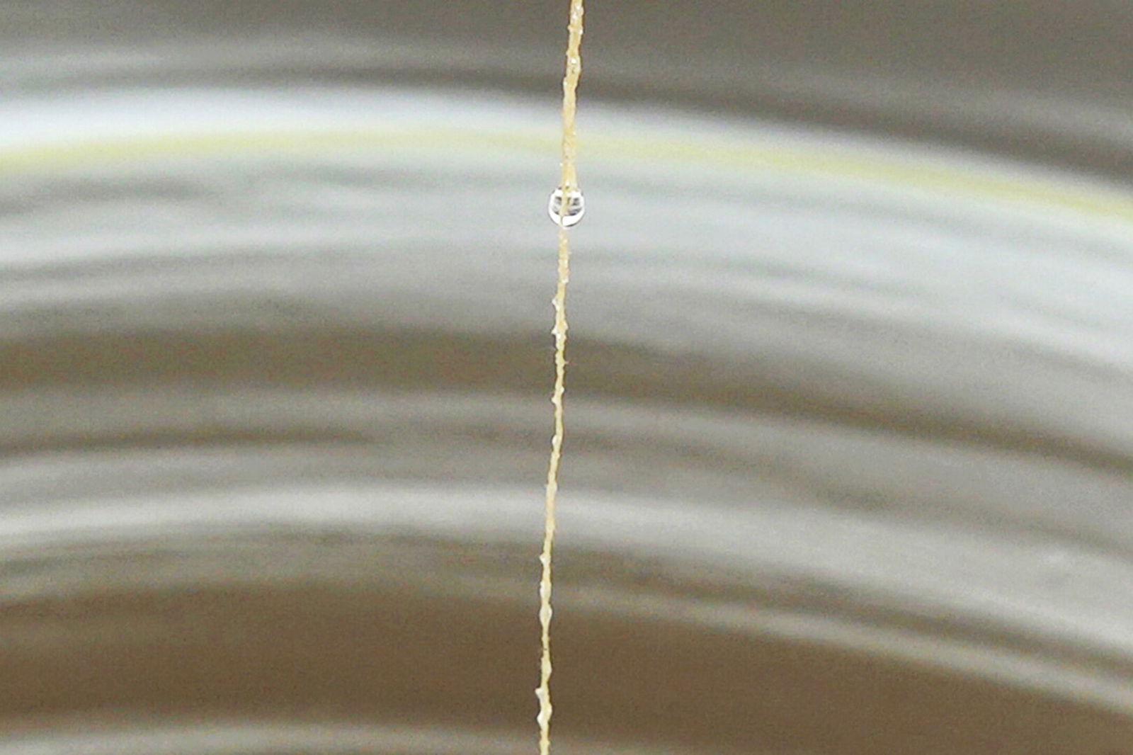 Juyoung Paek - Velocity 2019