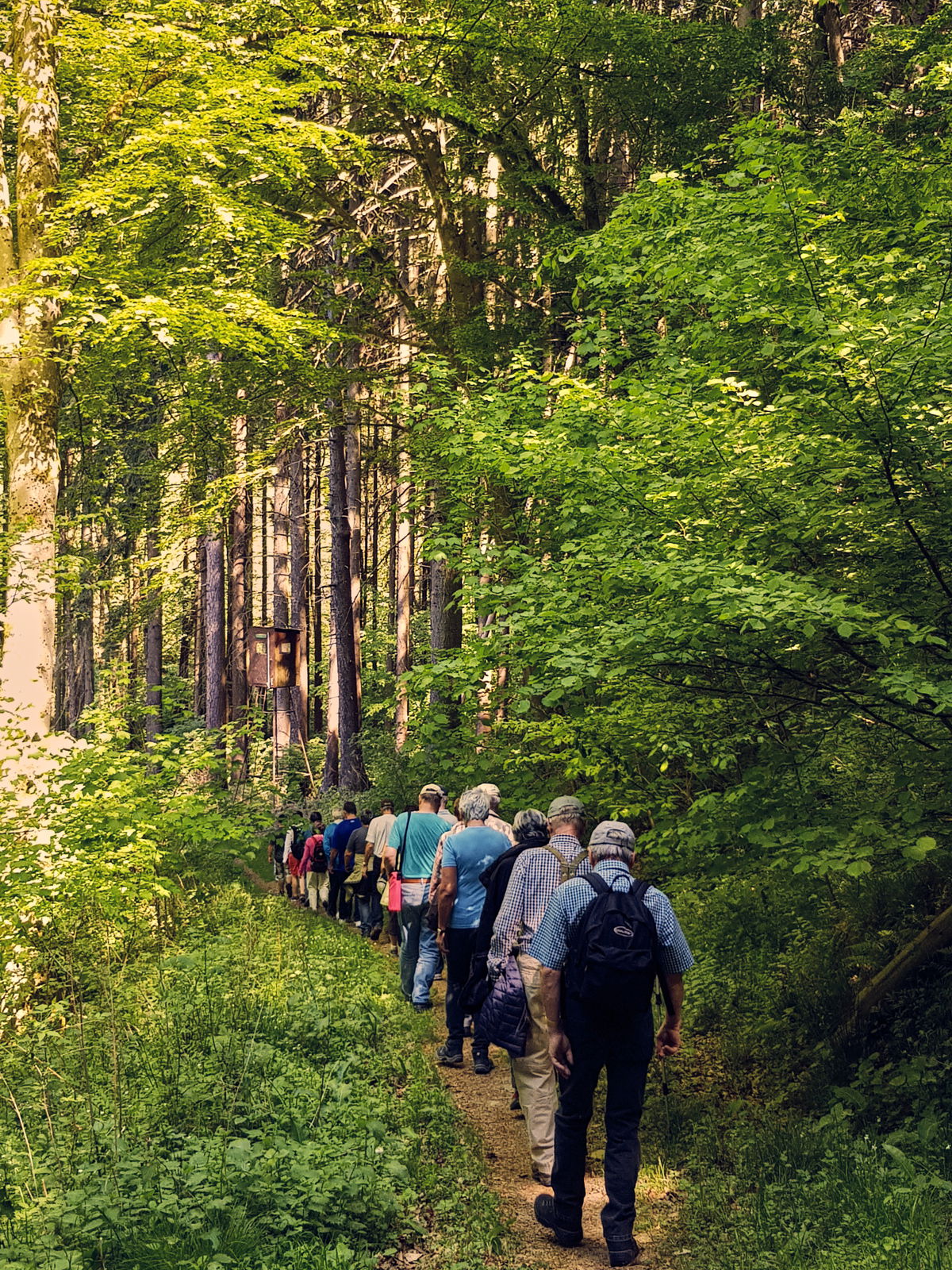 westerwald, h&ouml;hr-grenzhausen, natur-kultur-keramik, brexbachtal