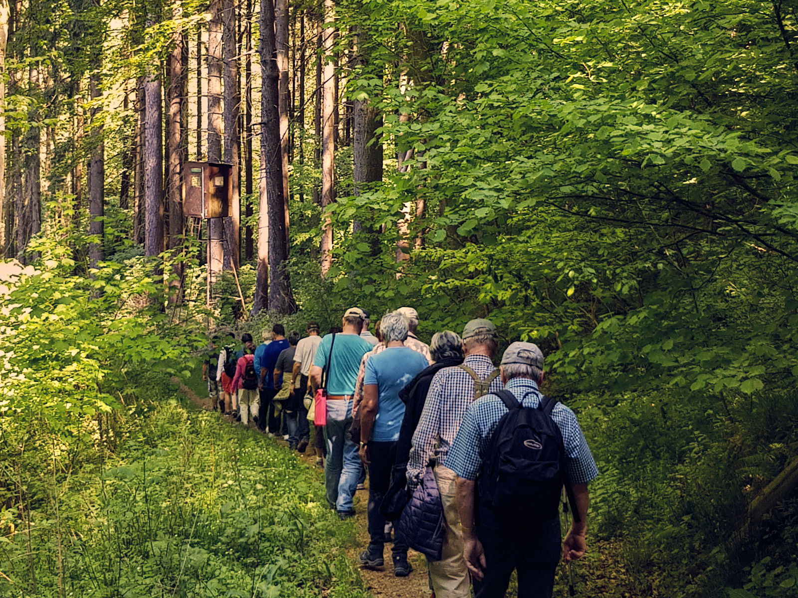 wandern, natur, westerwald, kannenbäckerland, laufen, spazieren, zugbrücke, brexbachtal, wald, grün, bäume, menschen, sportlich, naturkulturkeramik, höhrgrenzhausen, grenzhausen, natur-kultur-keramik
