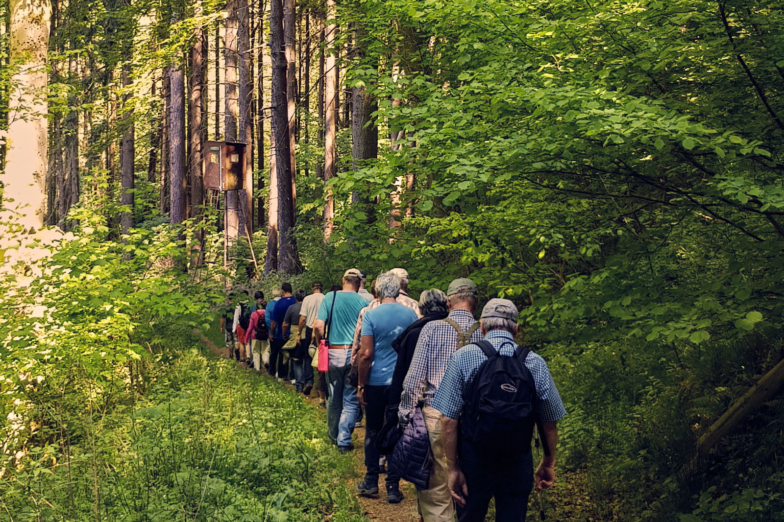 wandern, natur, westerwald, kannenbäckerland, laufen, spazieren, zugbrücke, brexbachtal, wald, grün, bäume, menschen, sportlich, naturkulturkeramik, höhrgrenzhausen, grenzhausen, natur-kultur-keramik
