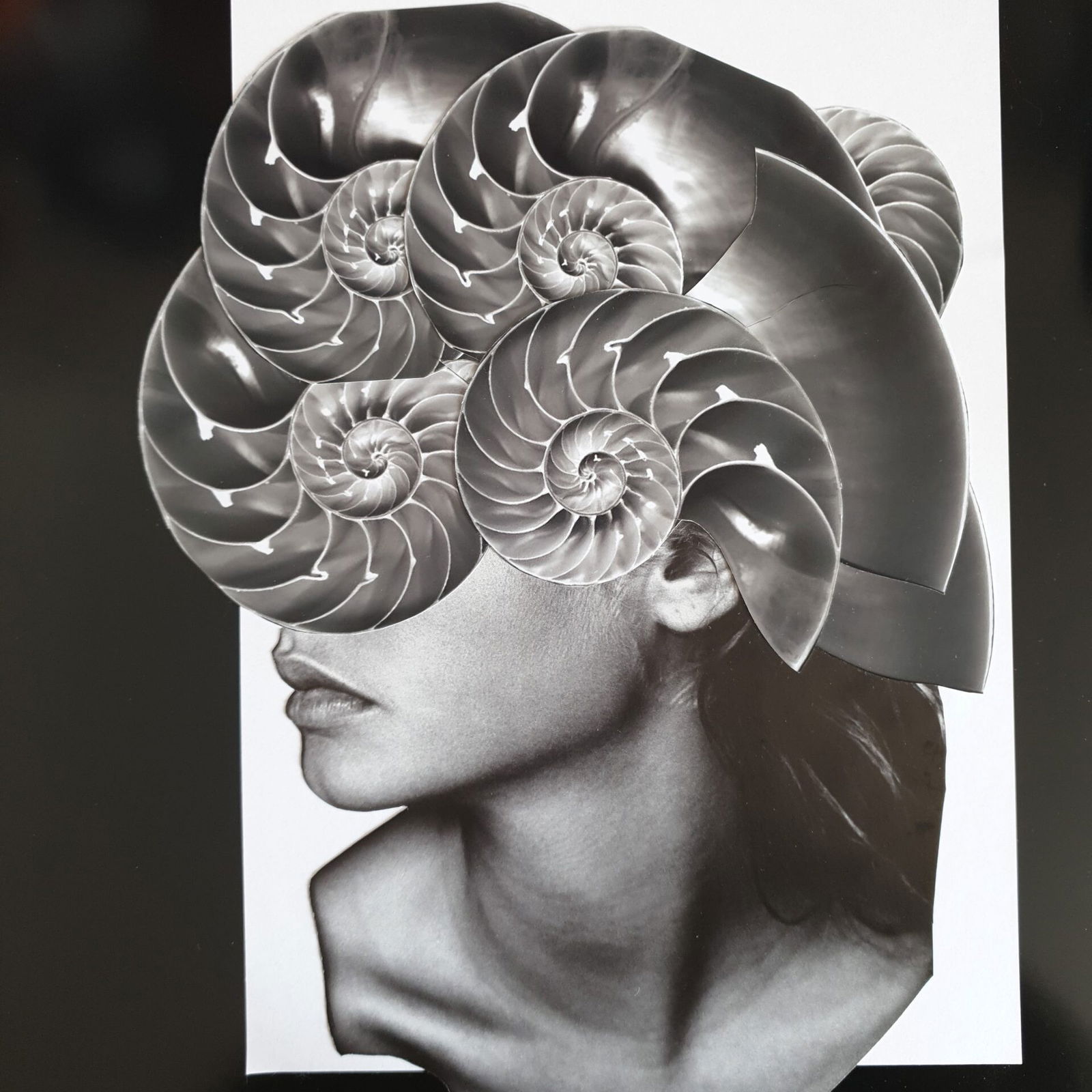 María Elisa Quiaro - Evolution