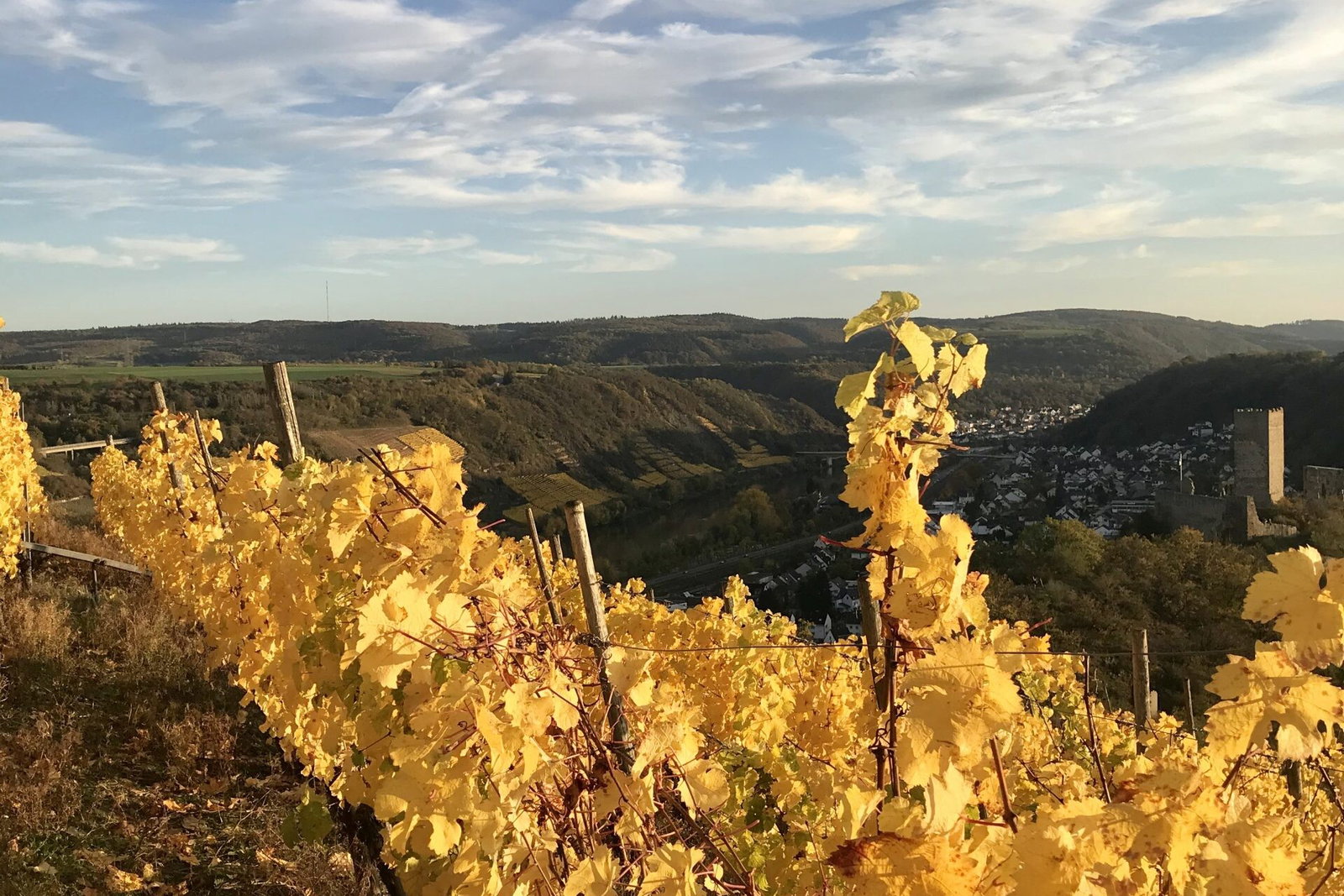 Herbstimmung im Moseltal, wenige Autominuten von Höhr-Grenzhausen