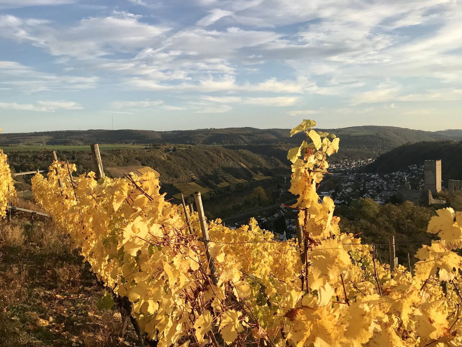 Herbstimmung im Moseltal, wenige Autominuten von Höhr-Grenzhausen