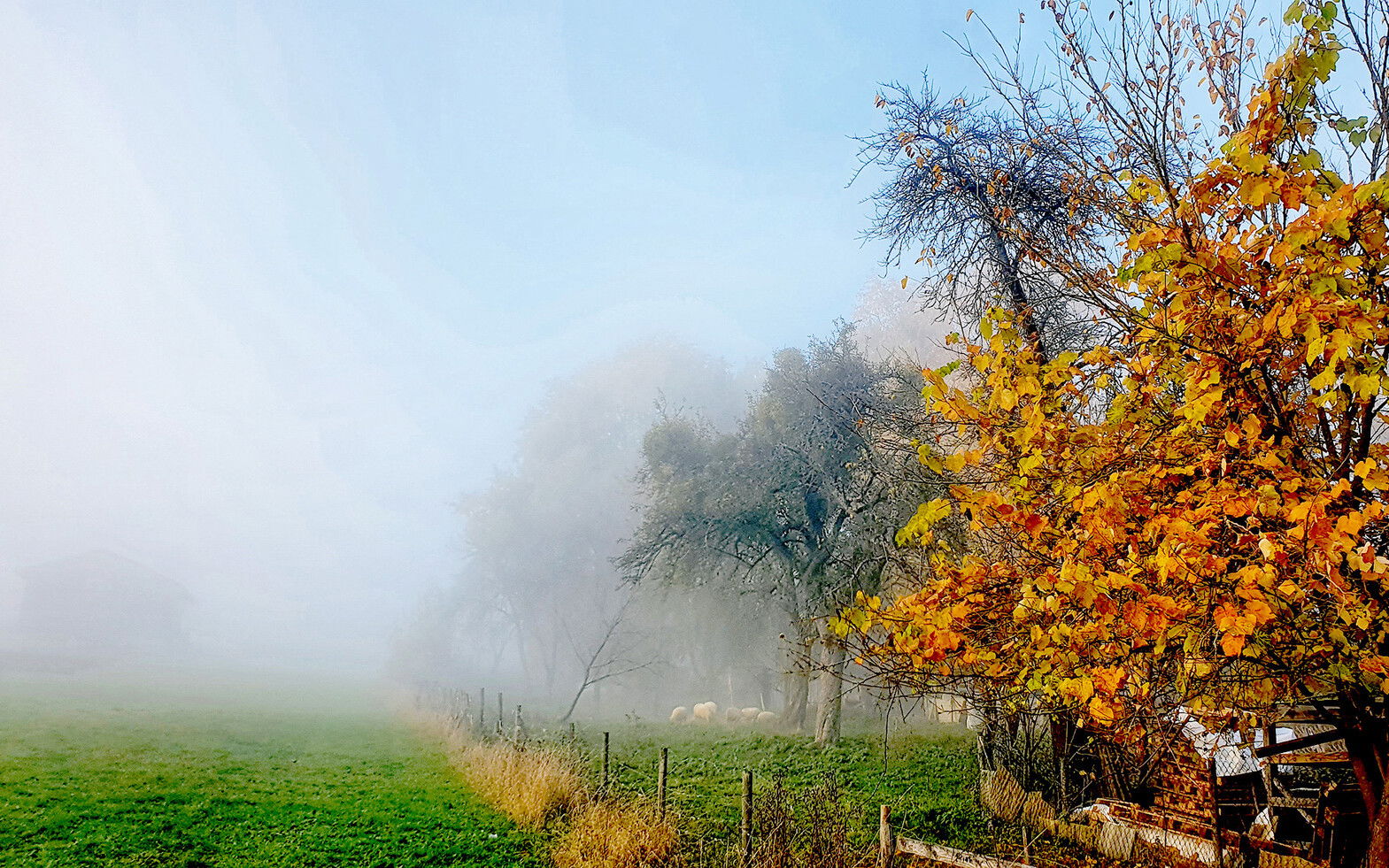 Höhr-Grenzhausen - Stadtteil Grenzhausen - Streifzug durch die Gärten, Foto von Ute Matschke