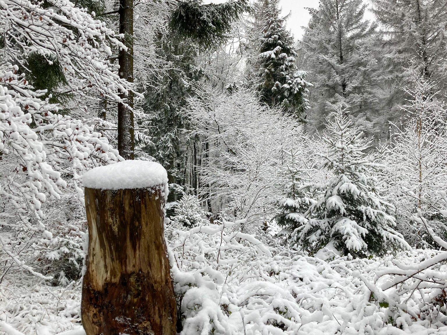 Köppel Montabaur Höhe Westerwald