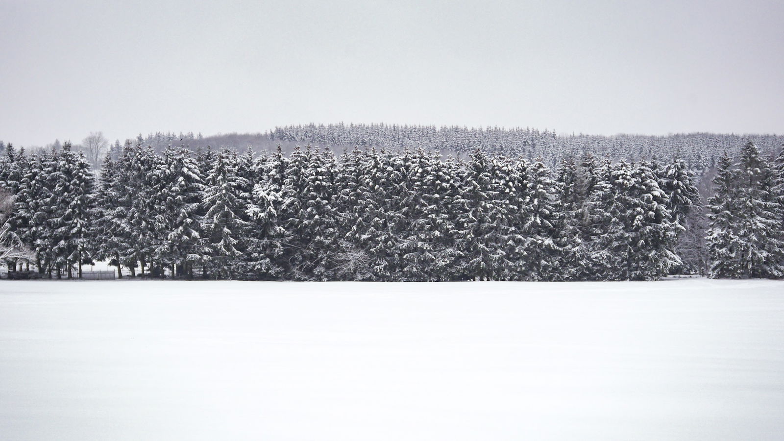 Salzburger Kopf Wingersportgebiet im Westerwald