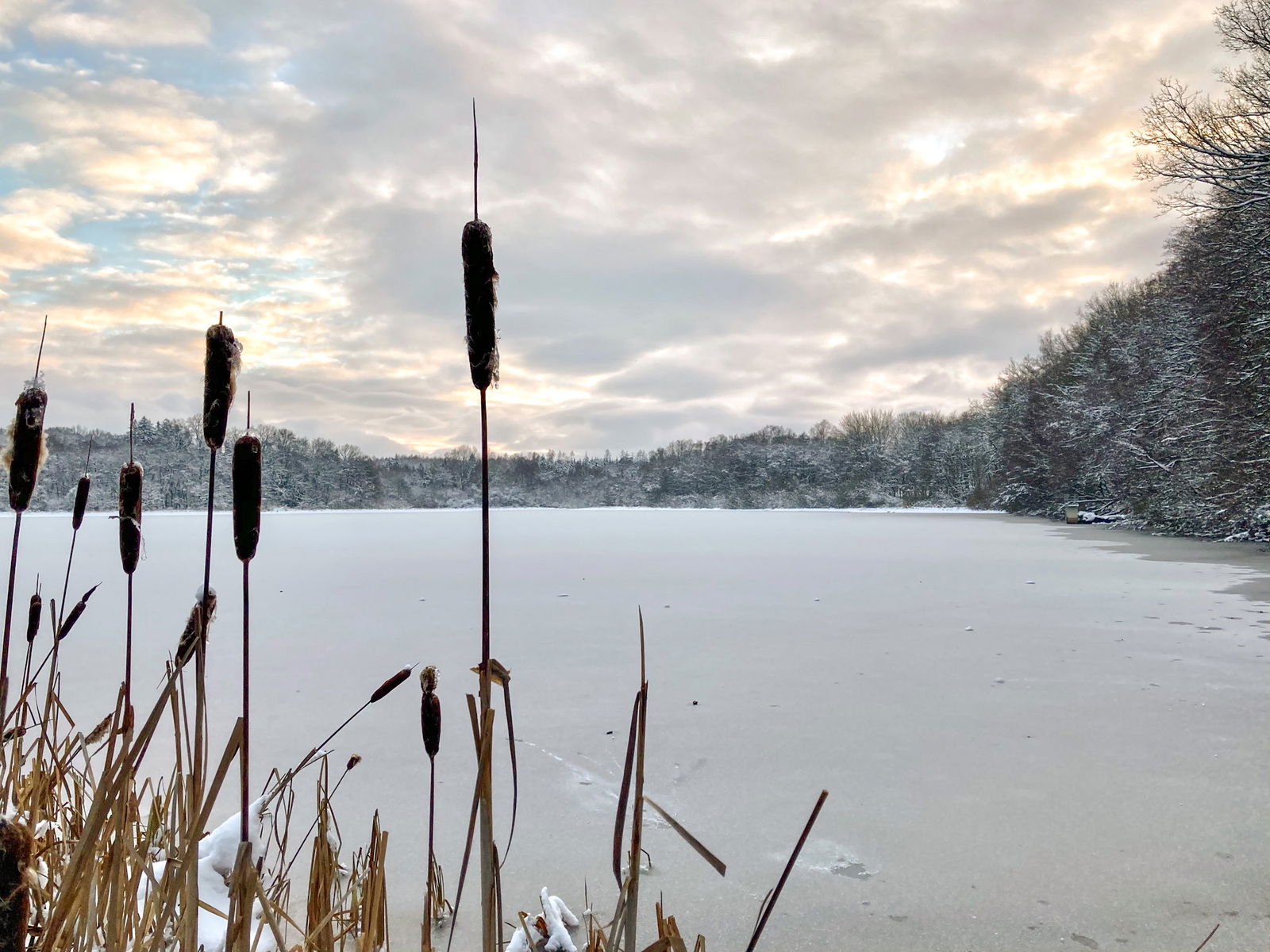 Ausflugsziel Westerw&auml;lder Seenplatte