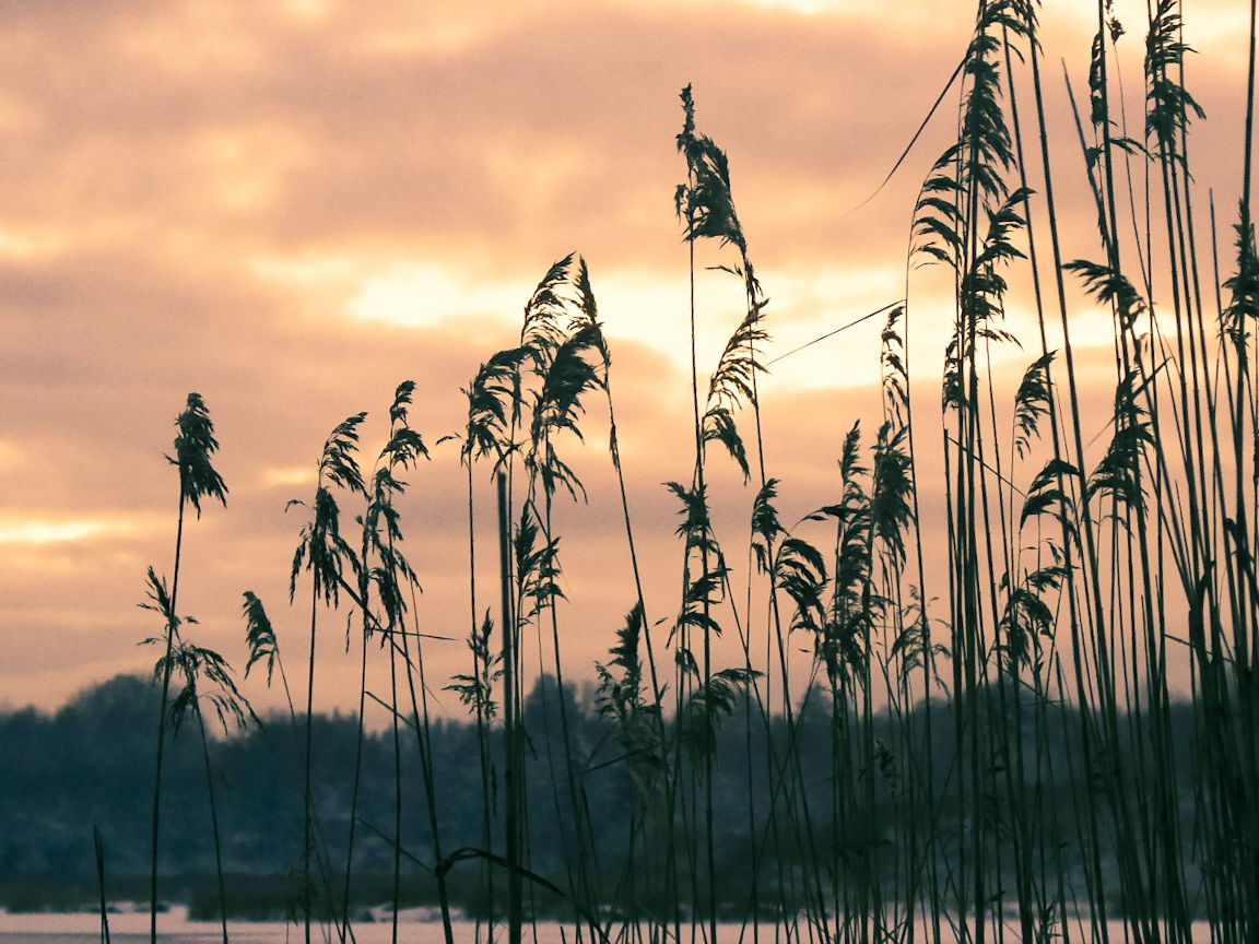 Ausflugsziel Westerwälder Seenplatte Winterlandschaft