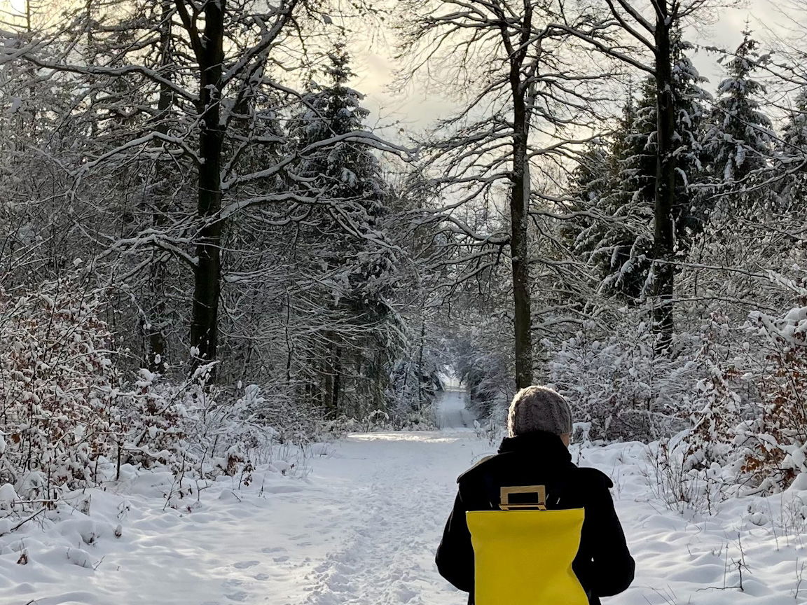Ausflugsziel Westerwälder Seenplatte Winterlandschaft