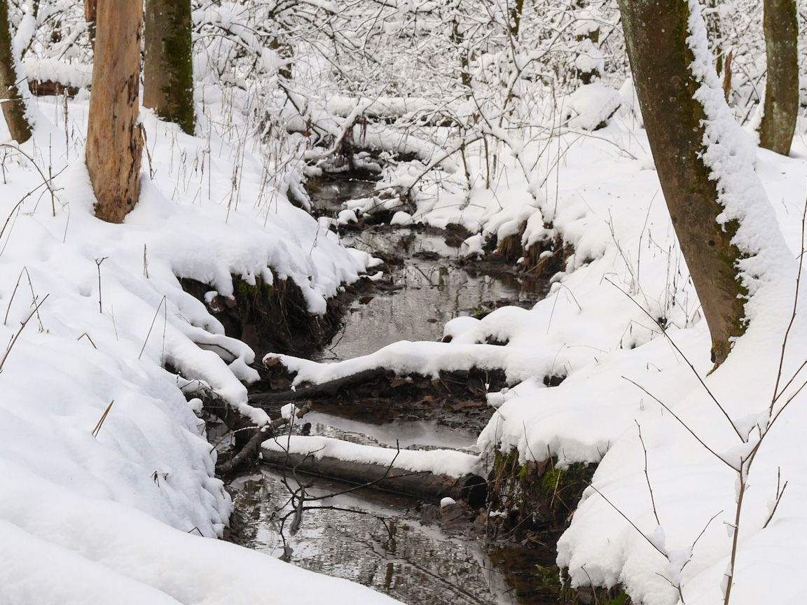 Ausflugsziel Westerwälder Seenplatte