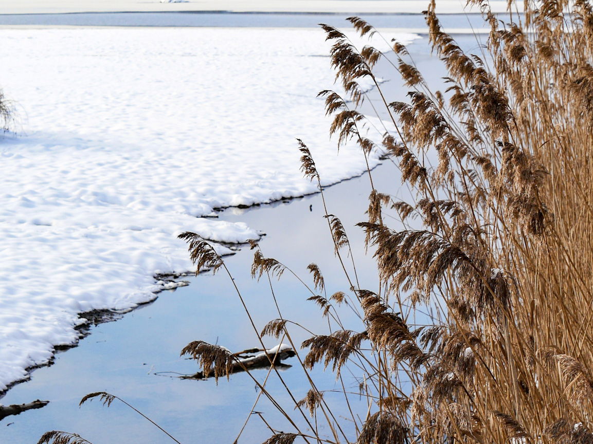 Ausflugsziel Westerwälder Seenplatte Winterlandschaft