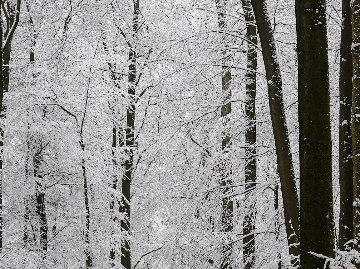 Schneelandschaft rund um Höhr-Grenzhausen und dem Westerwald
