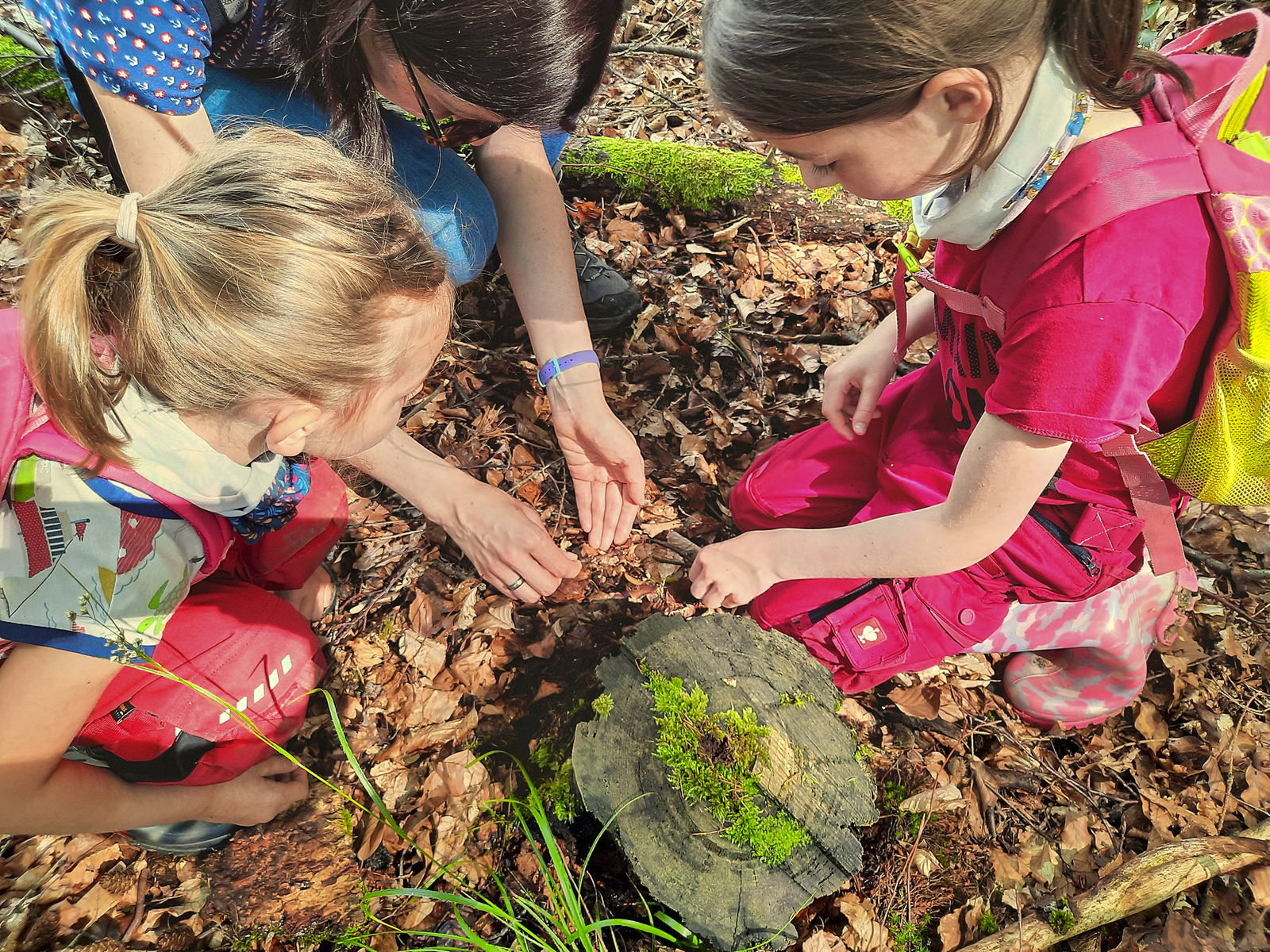 Dem Förster über die Schulter geschaut - Wanderung mit Kindern durch den Wald