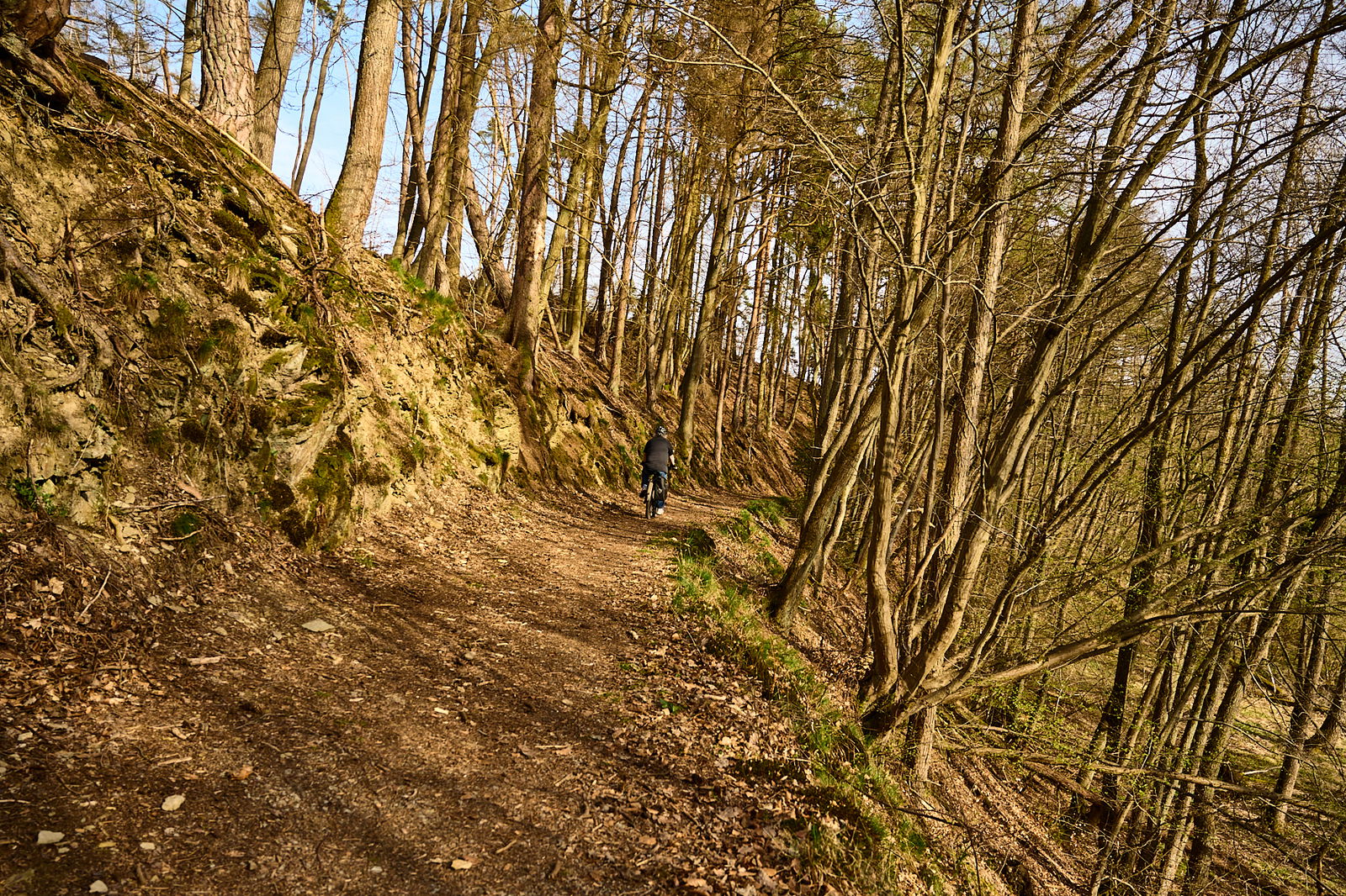 Auf dem Weg von der H&uuml;ttenm&uuml;hle Richtung Hundsdorf