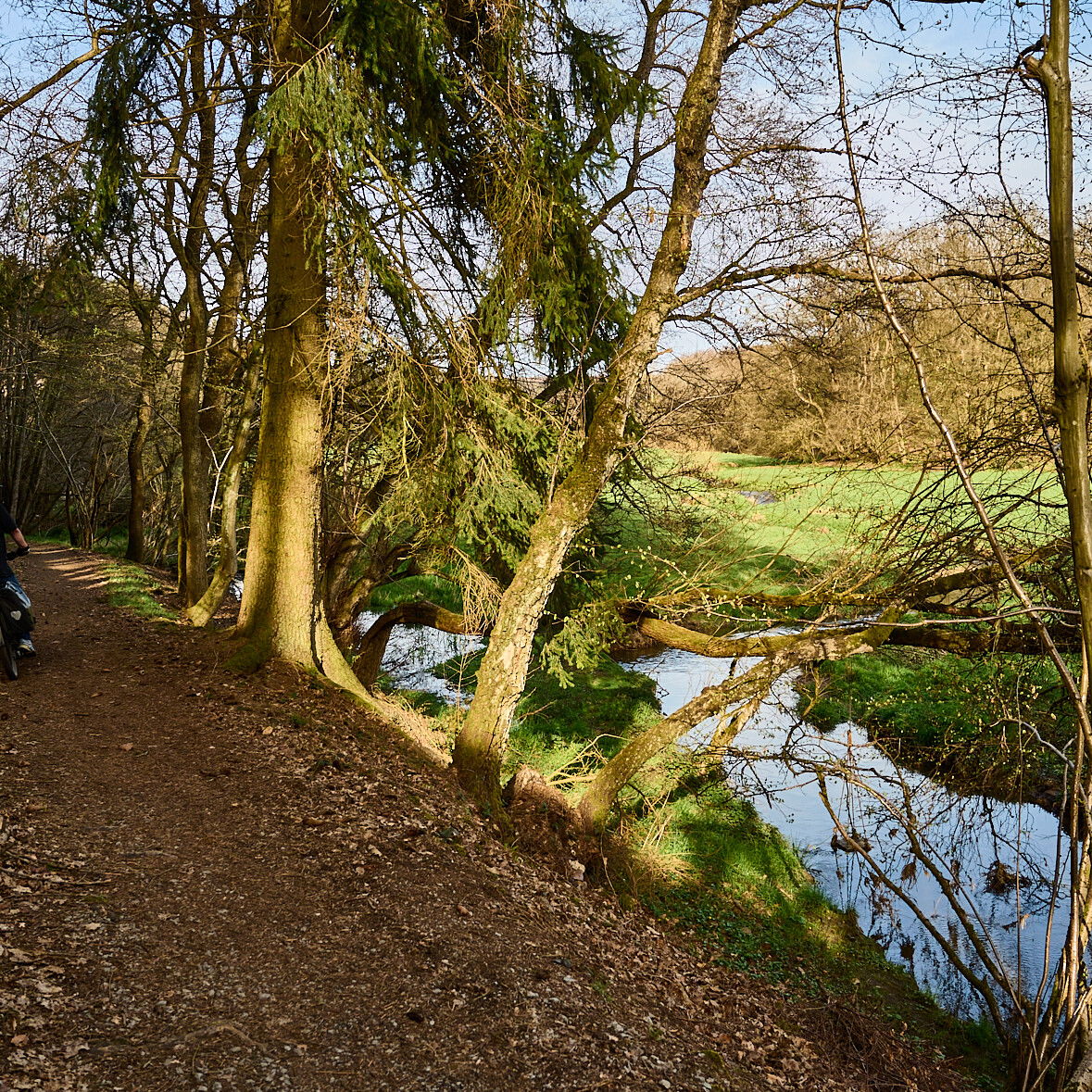 Auf dem Weg von der Hüttenmühle am Masselbach entlang Richtung Hundsdorf