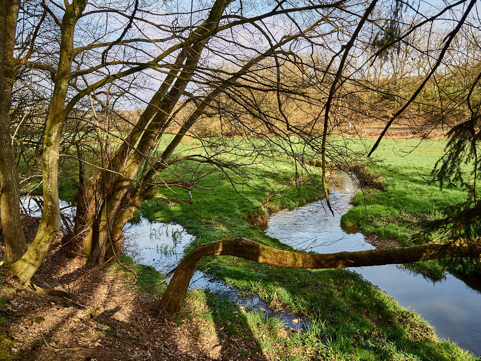 Auf dem Weg von der Hüttenmühle am Masselbach entlang Richtung Hundsdorf