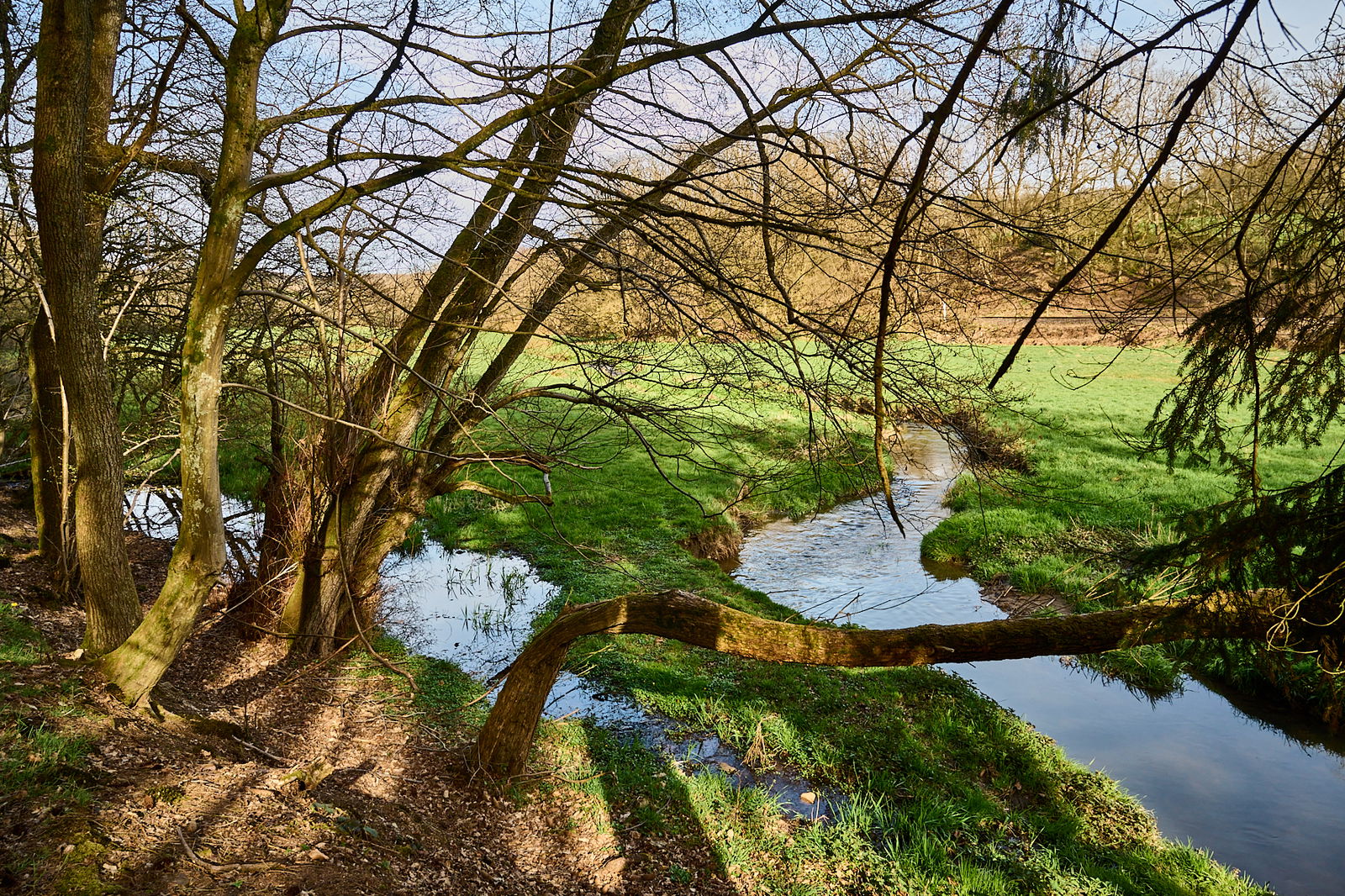 Auf dem Weg von der Hüttenmühle am Masselbach entlang Richtung Hundsdorf