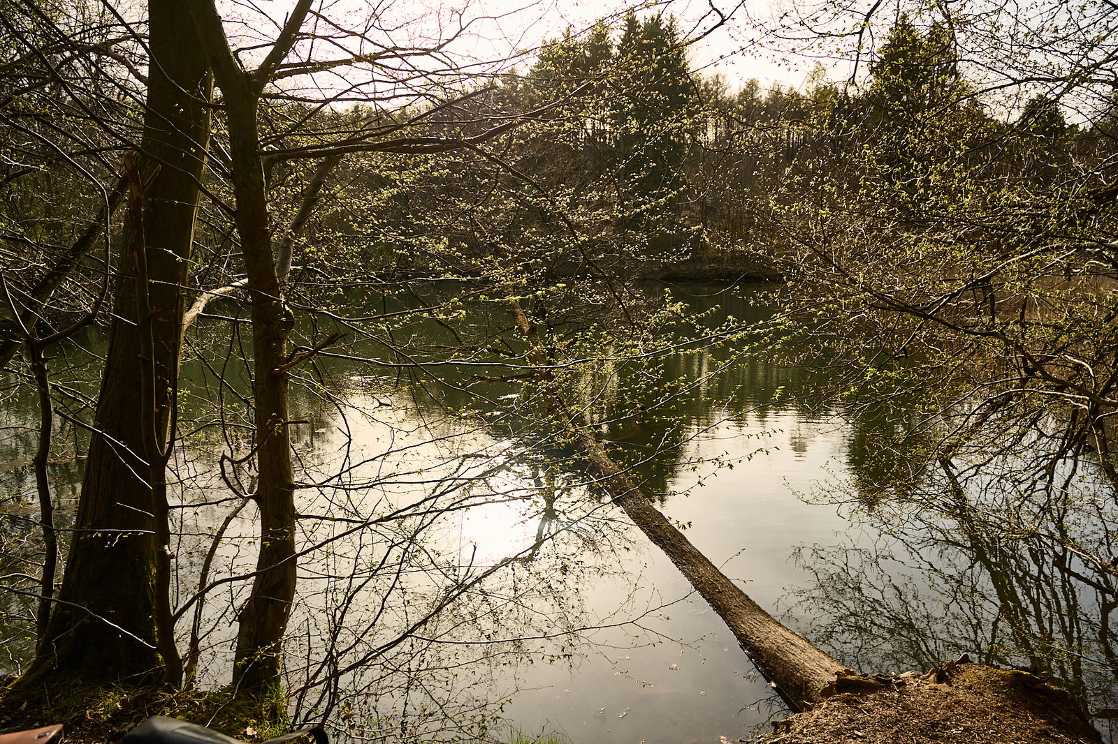 Adenrother Weiher, Stebach bei Breitenau / Saynbach