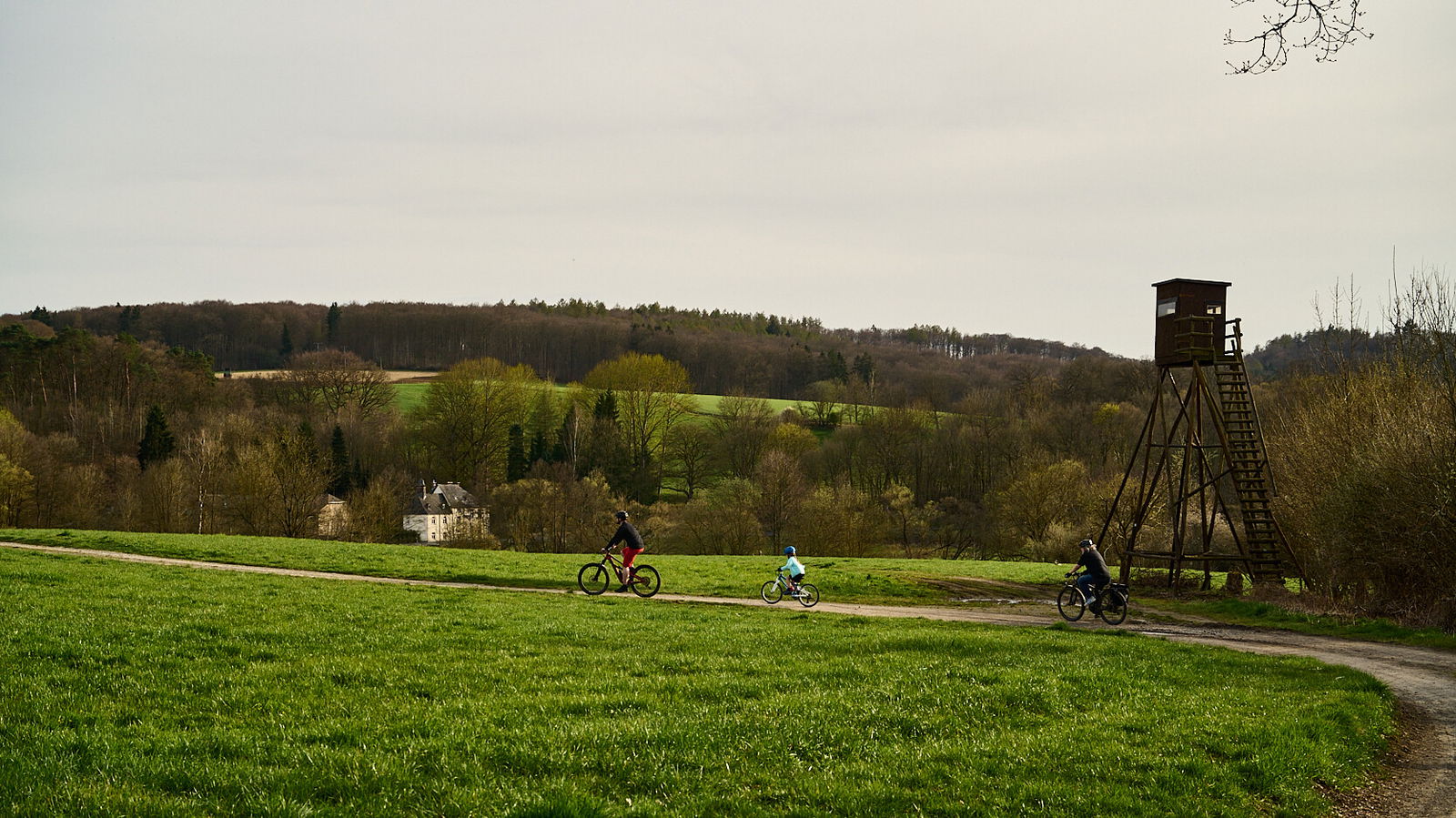 Vom Adenrother Weiher zum Sayntal