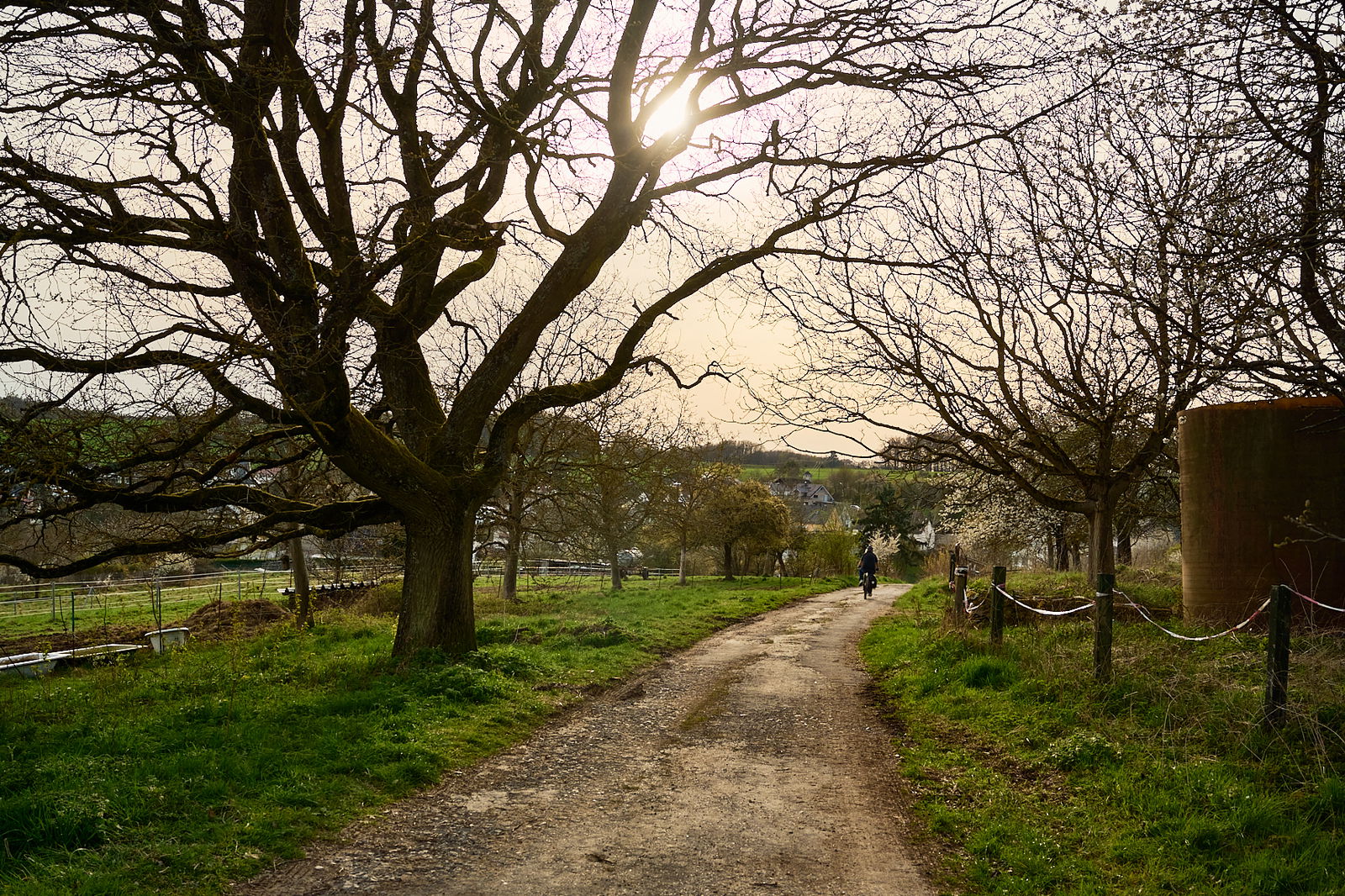 Auf dem Weg nach Alsbach
