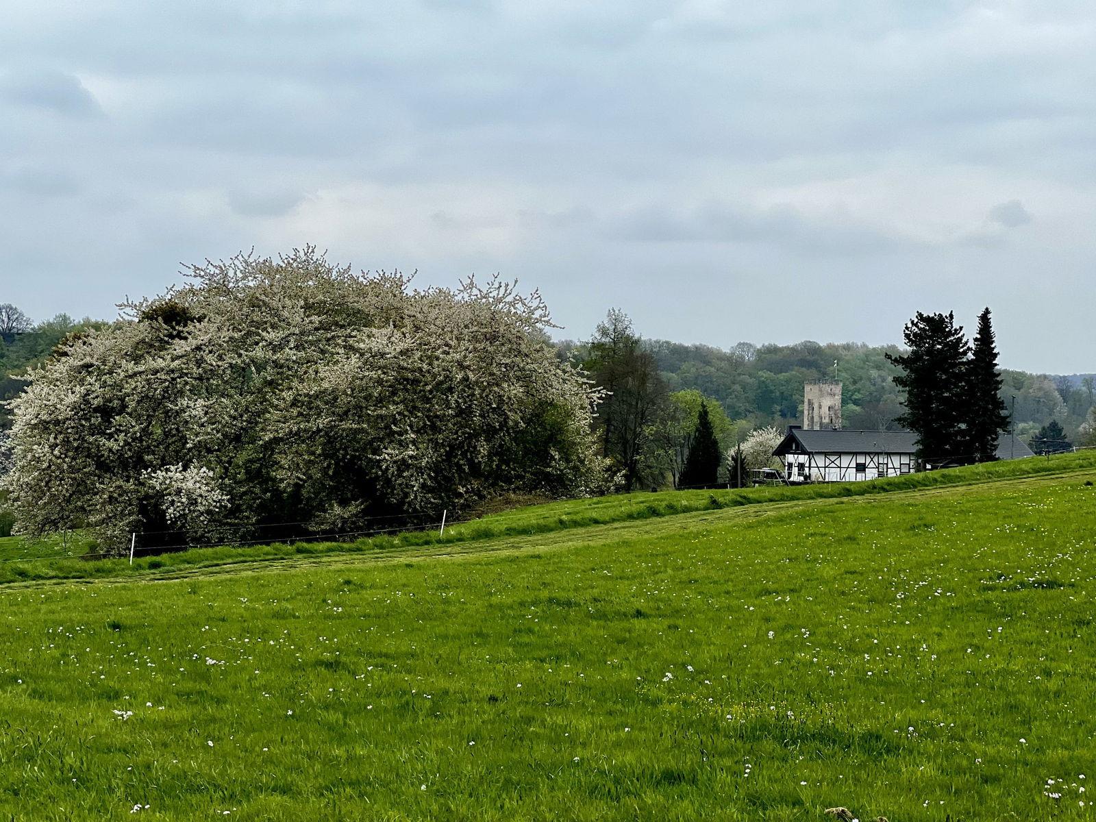 Burg Grenzau ragt aus dem Brexbachtal heraus
