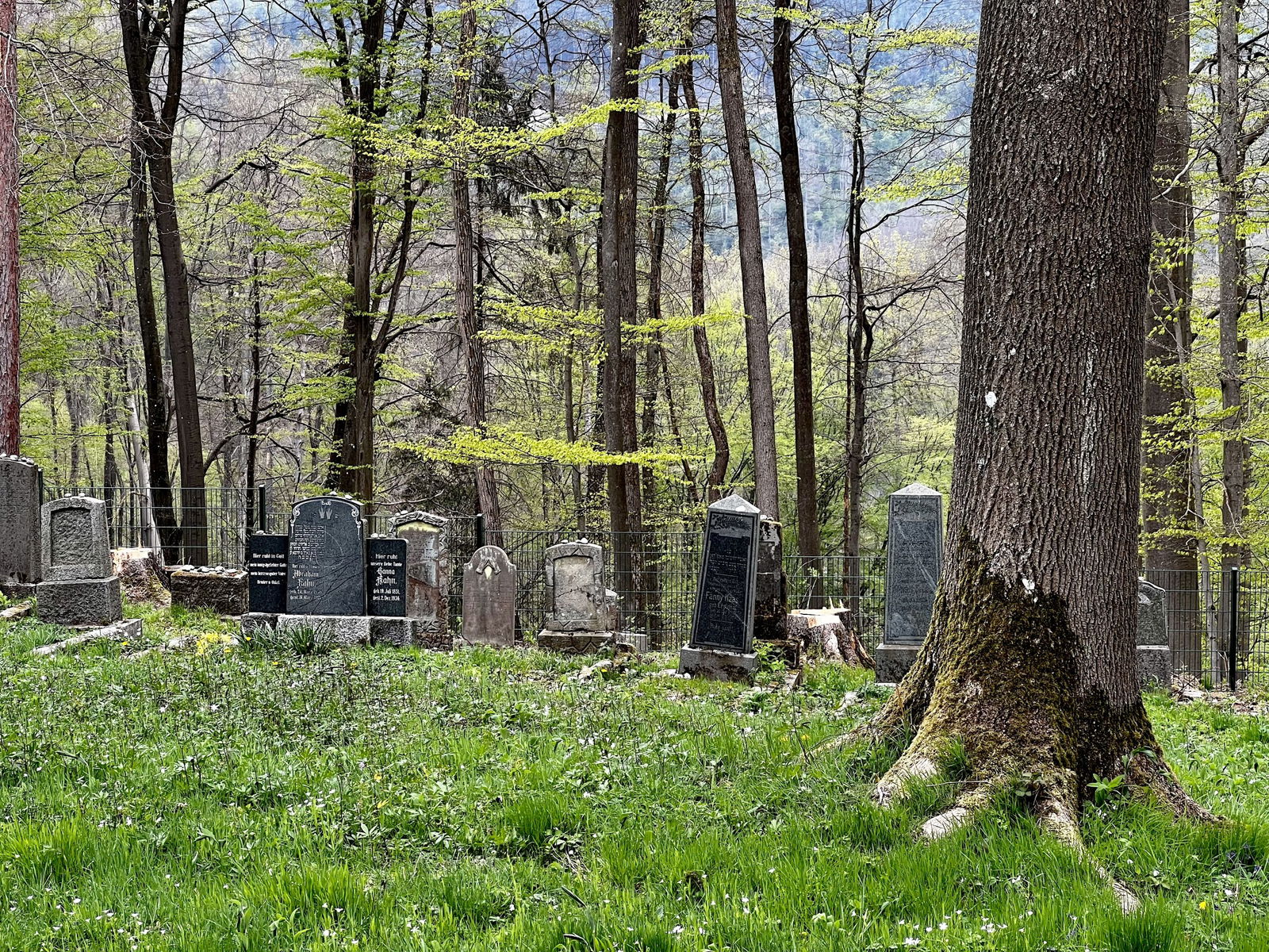 Jüdischer Friedhof im Wald bei Höhr-Grenzhausen