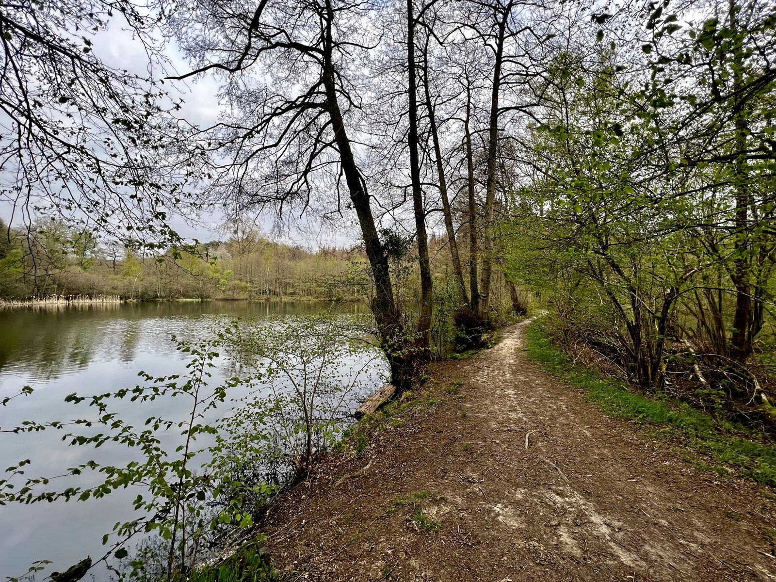 Schmaler Pfad zwischen den Landshuber Weihern