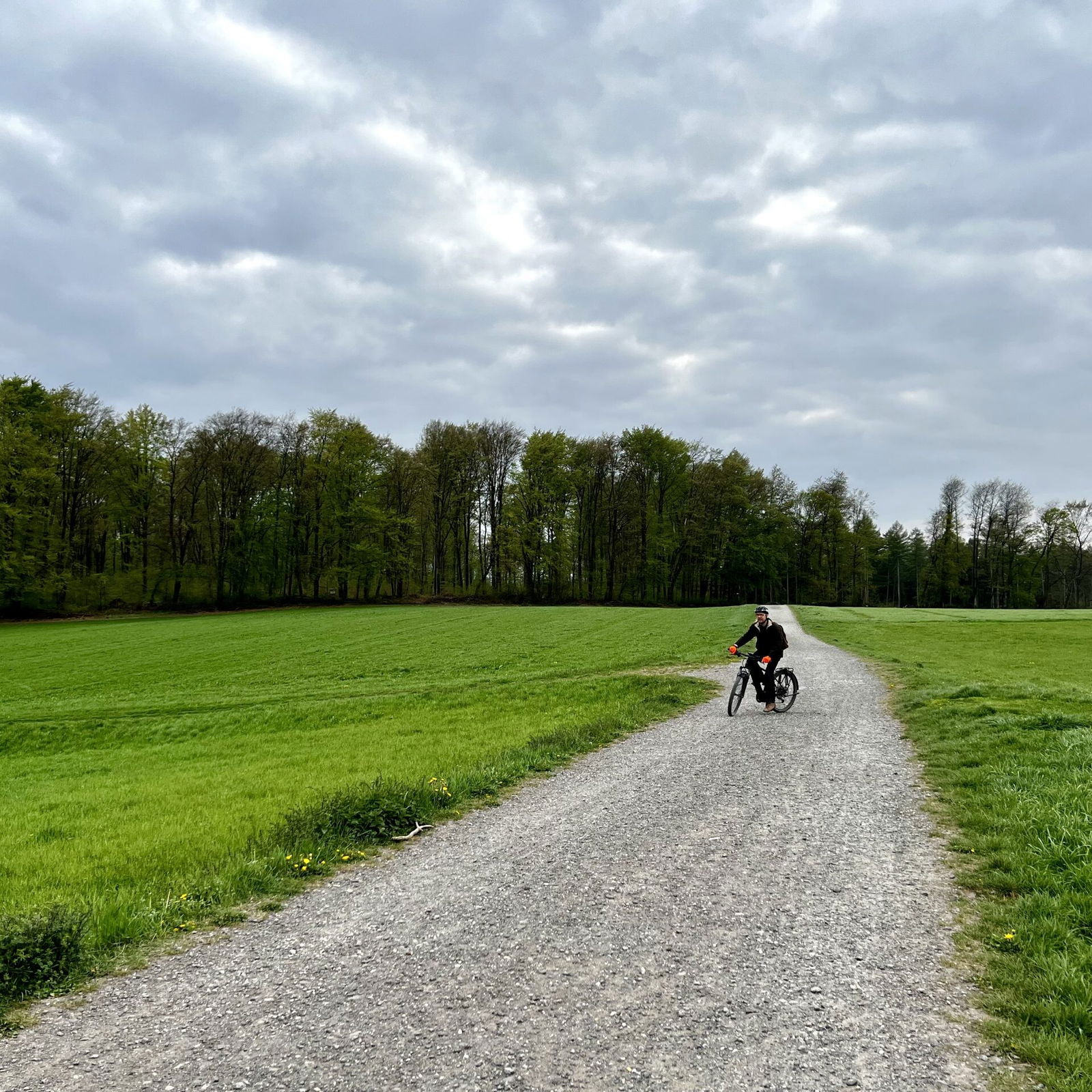 Wäller Weg am südlichen Stadtrand von Höhr-Grenzhausen