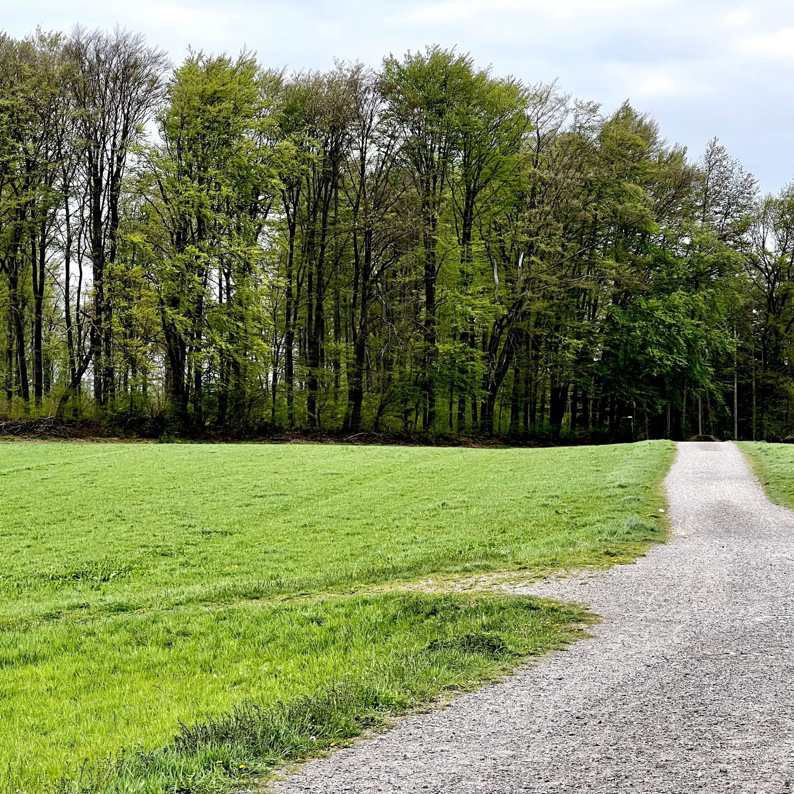 Wäller Weg am südlichen Stadtrand von Höhr-Grenzhausen