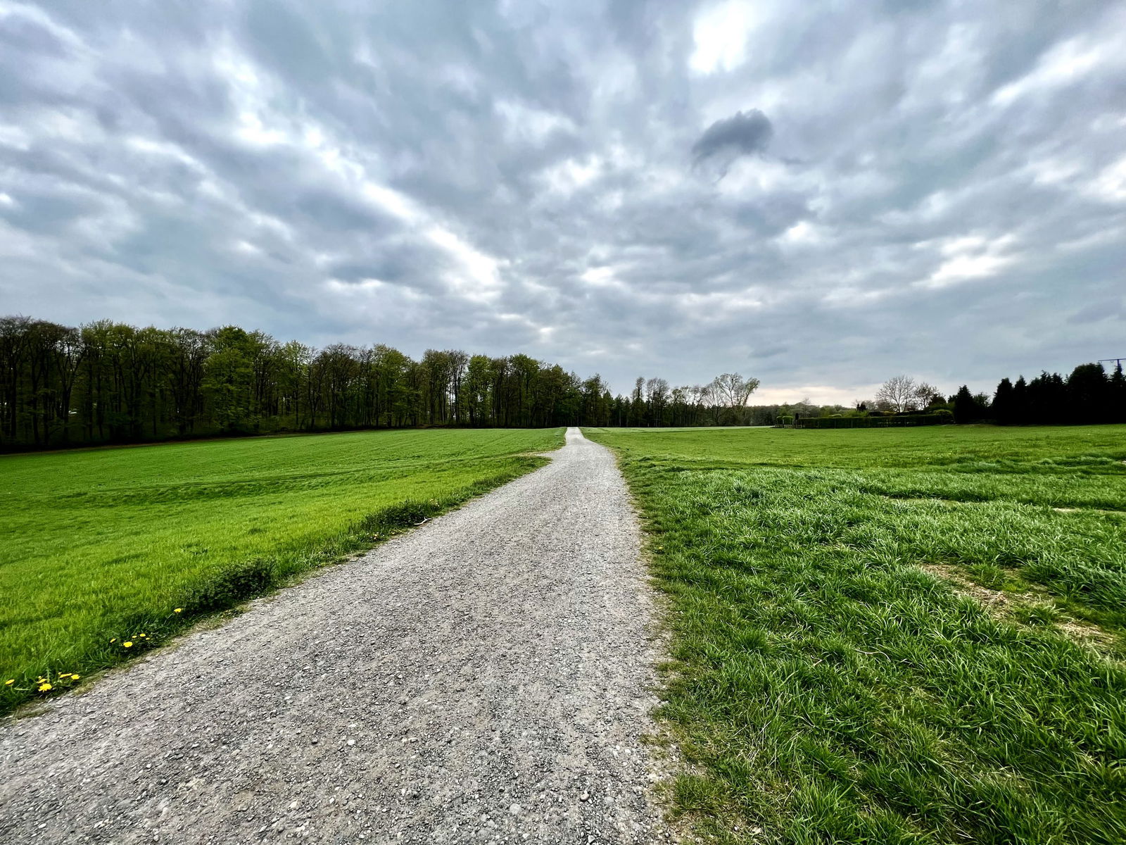 Wäller Weg am südlichen Stadtrand von Höhr-Grenzhausen