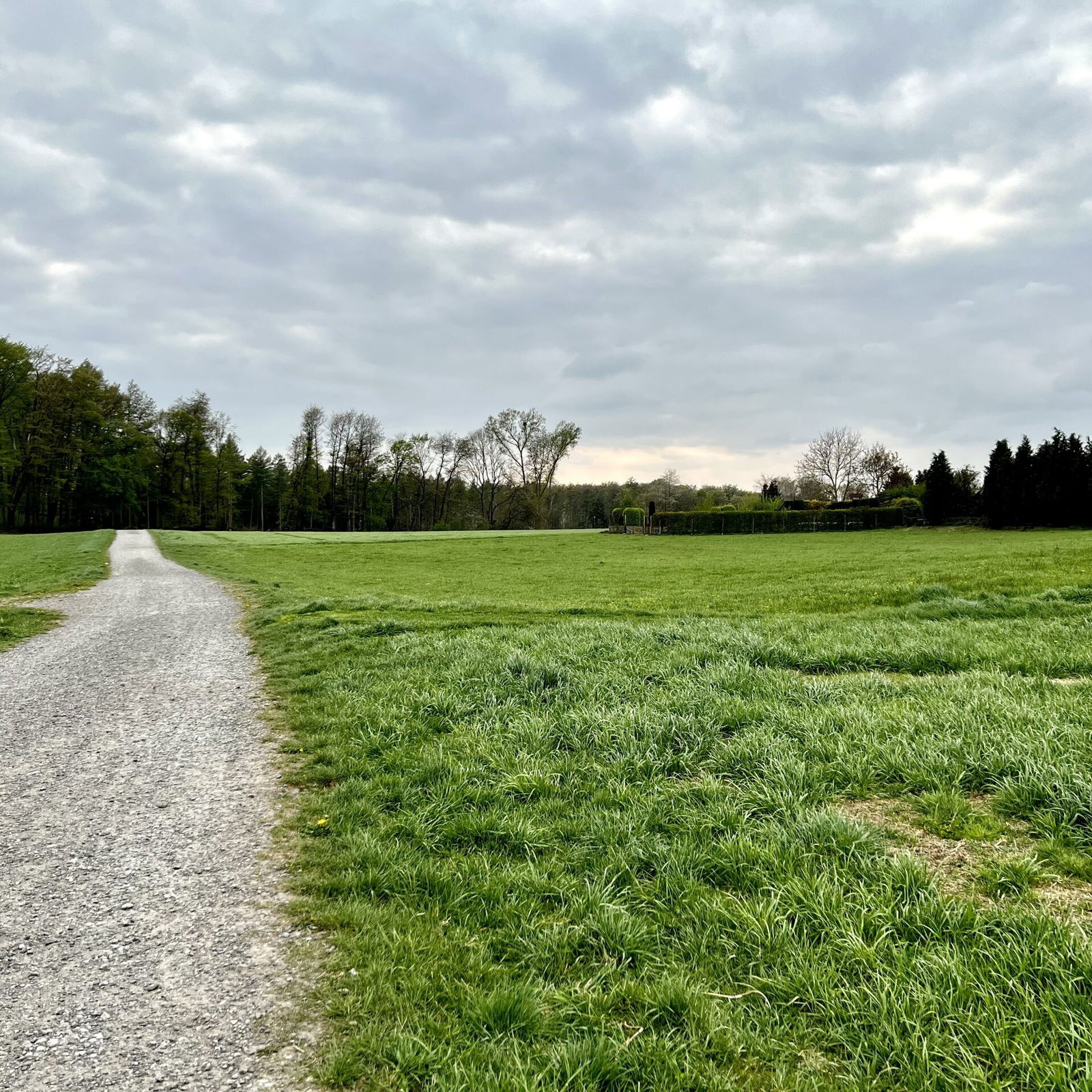 Wäller Weg am südlichen Stadtrand von Höhr-Grenzhausen