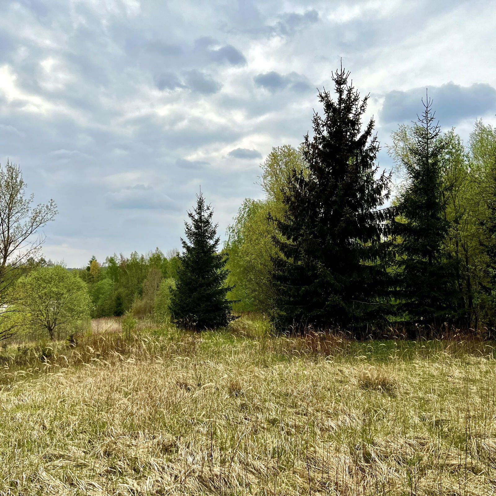 Kein Weg vorbei an den Höhrern Löchern