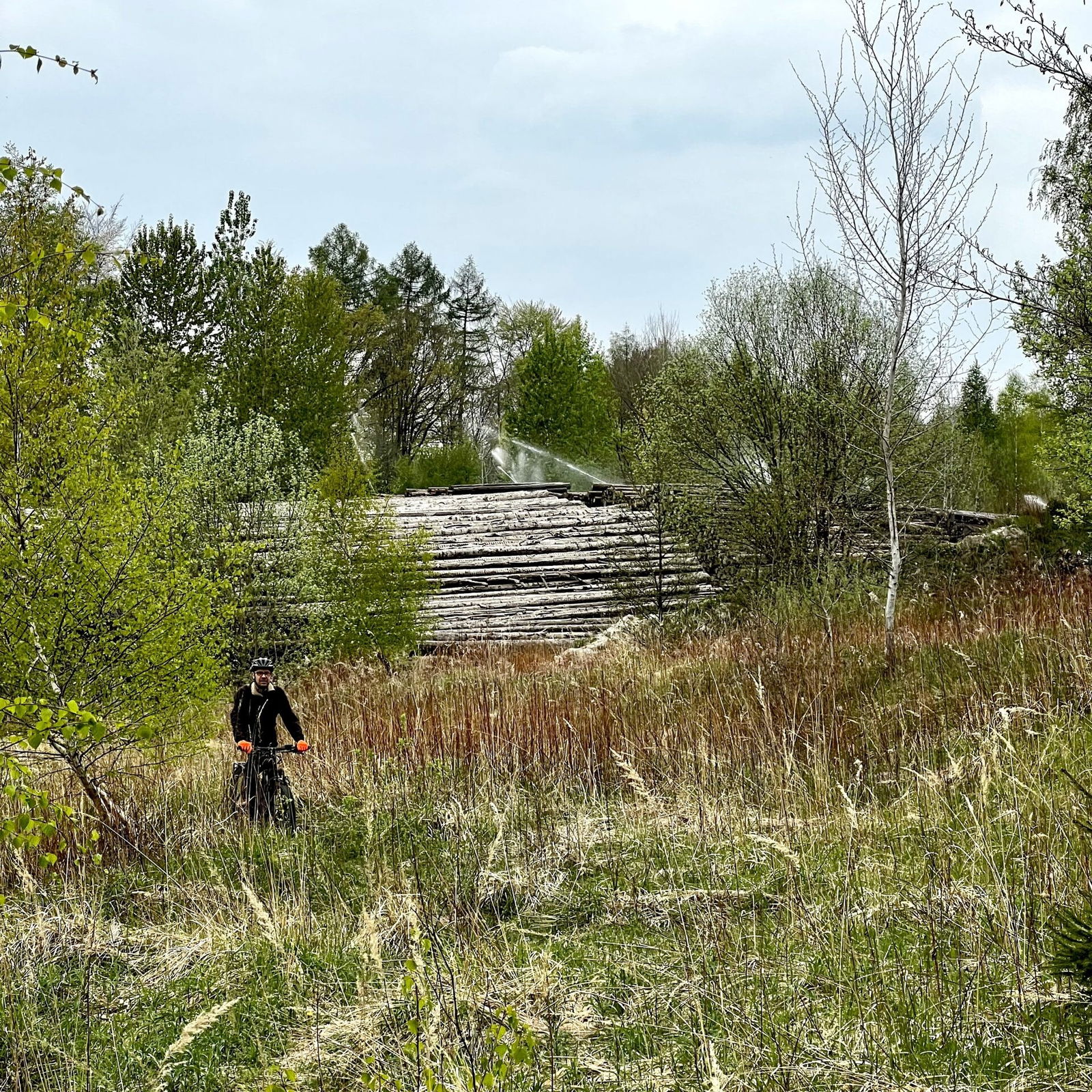 Kein Weg vorbei an den Höhrern Löchern
