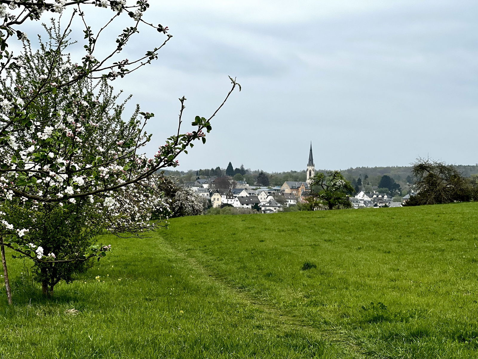 Blick auf den Stadtteil Höhr