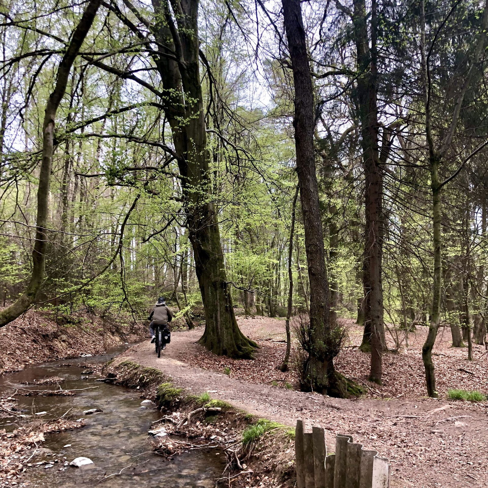 Hinterer Bach der in den Brexbach mündet, beim Landshuber Weiher
