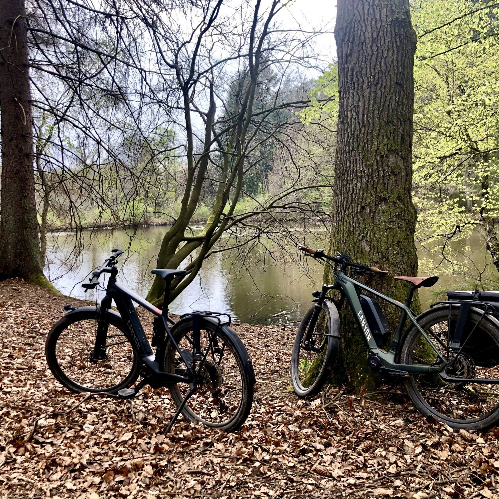 Stopp am Landshuber Weiher