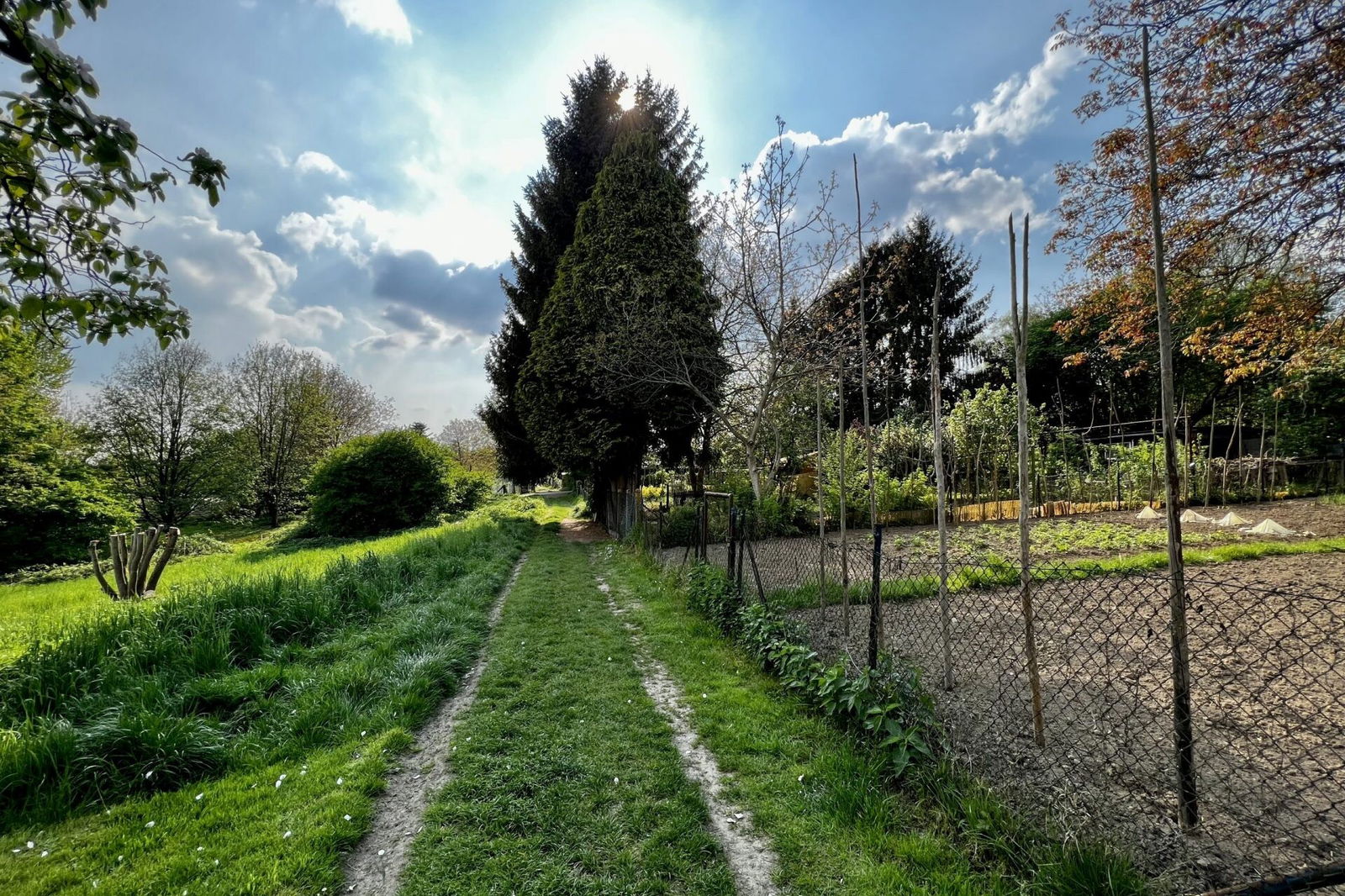 Gärten in Grenzhausen