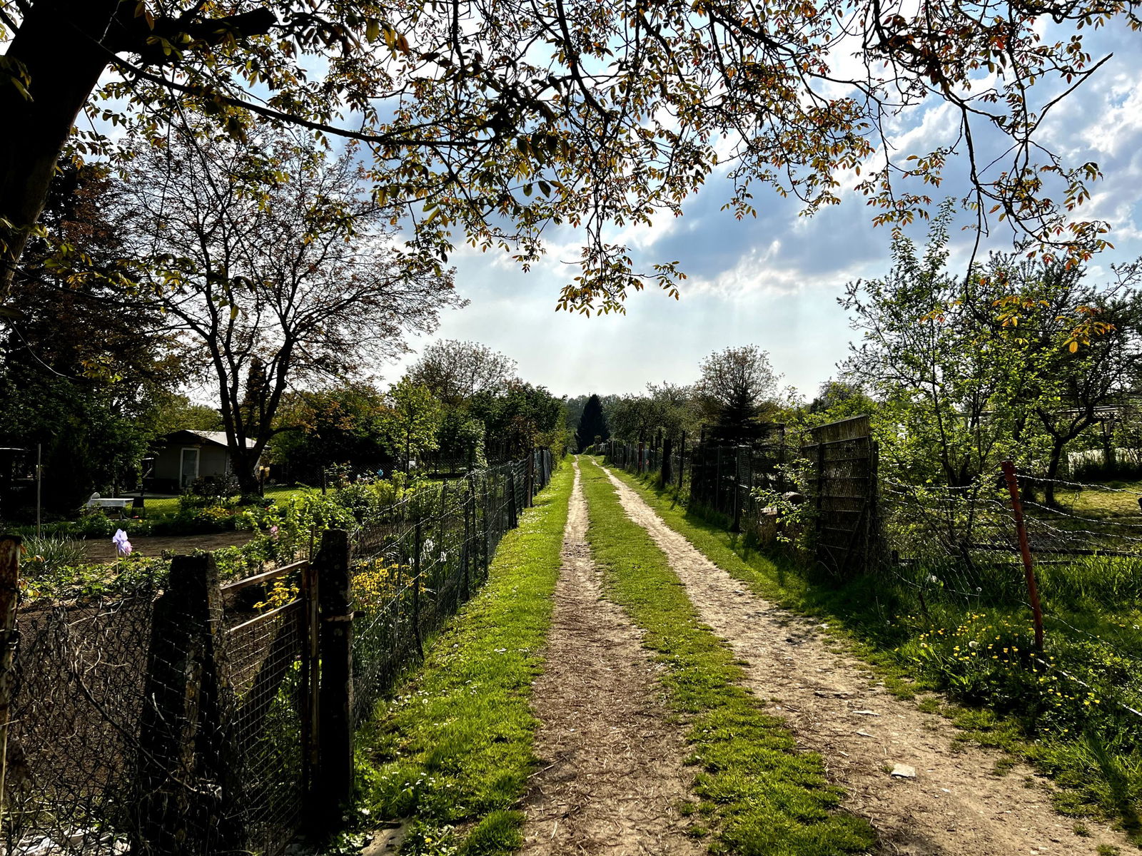 Gärten in Grenzhausen