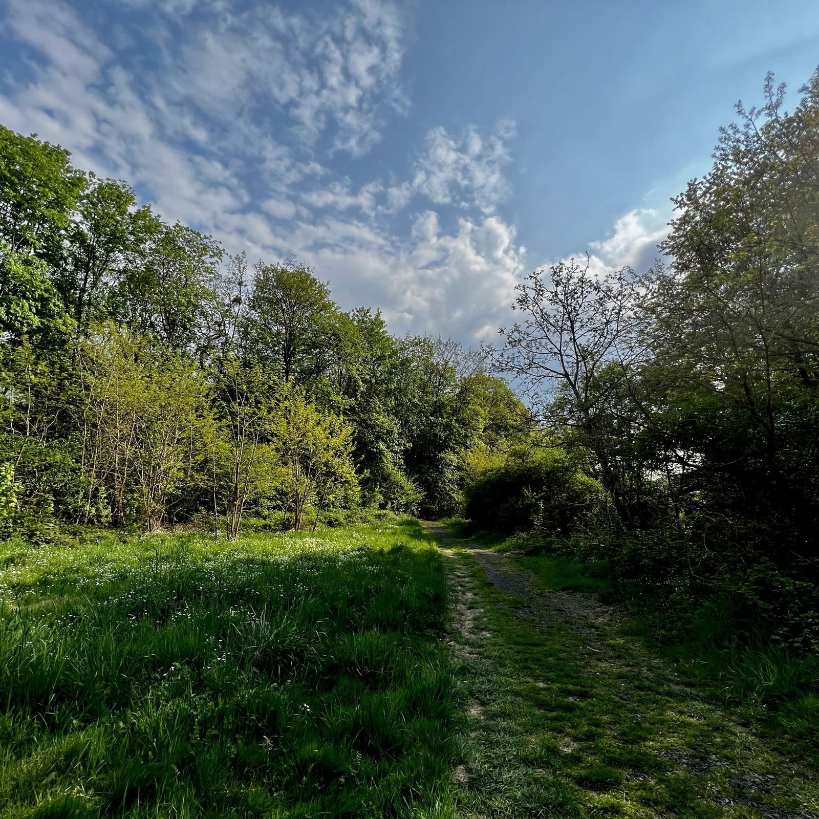 Auf dem Weg von Grenzhausen nach Höhr