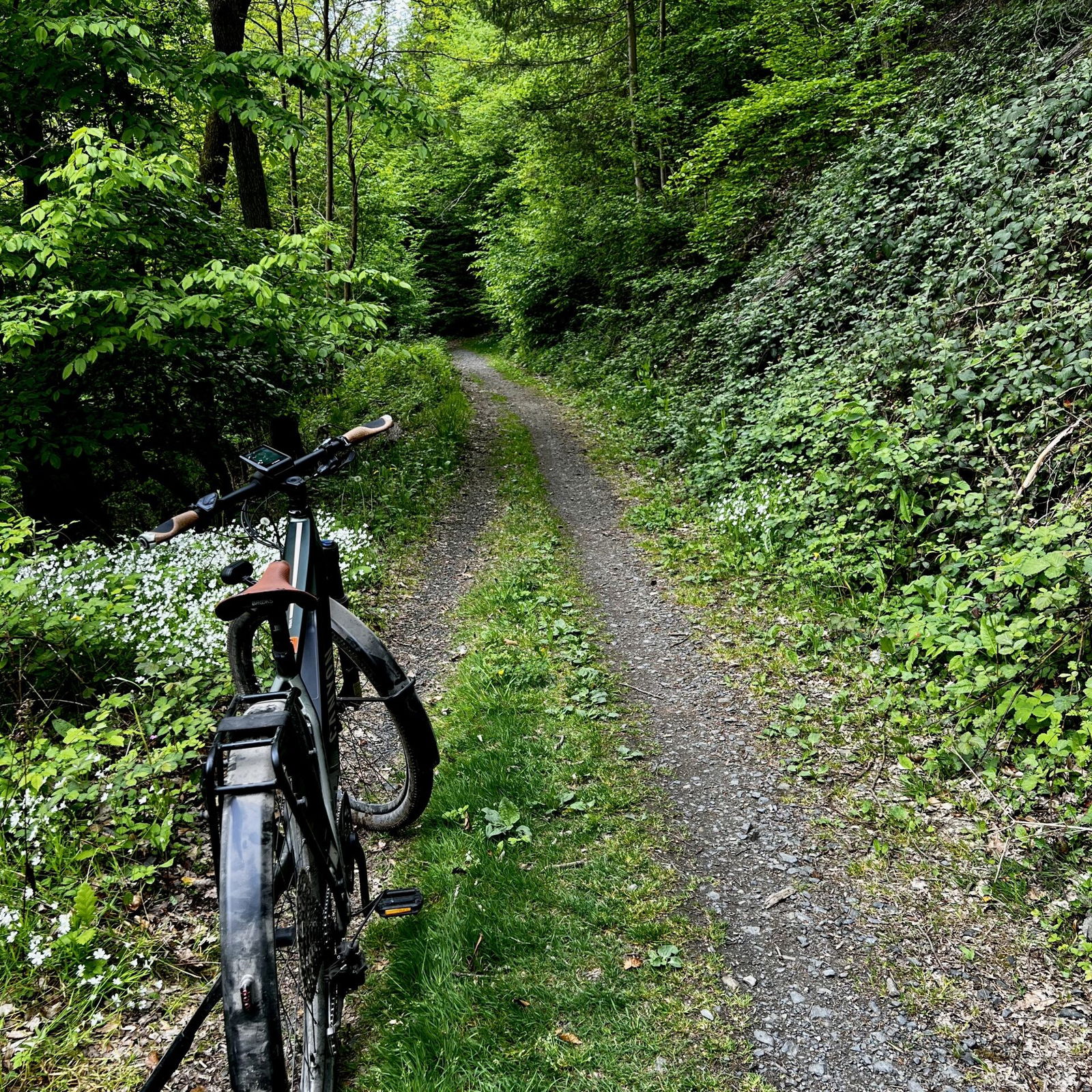 Kurzer Stopp im Wald