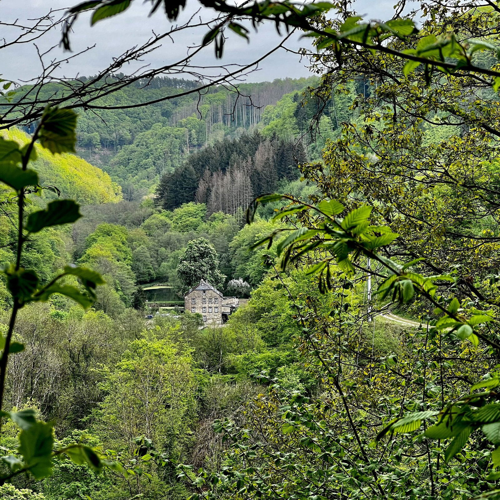 Blick auf den Forellenhof Richtung Hillscheid