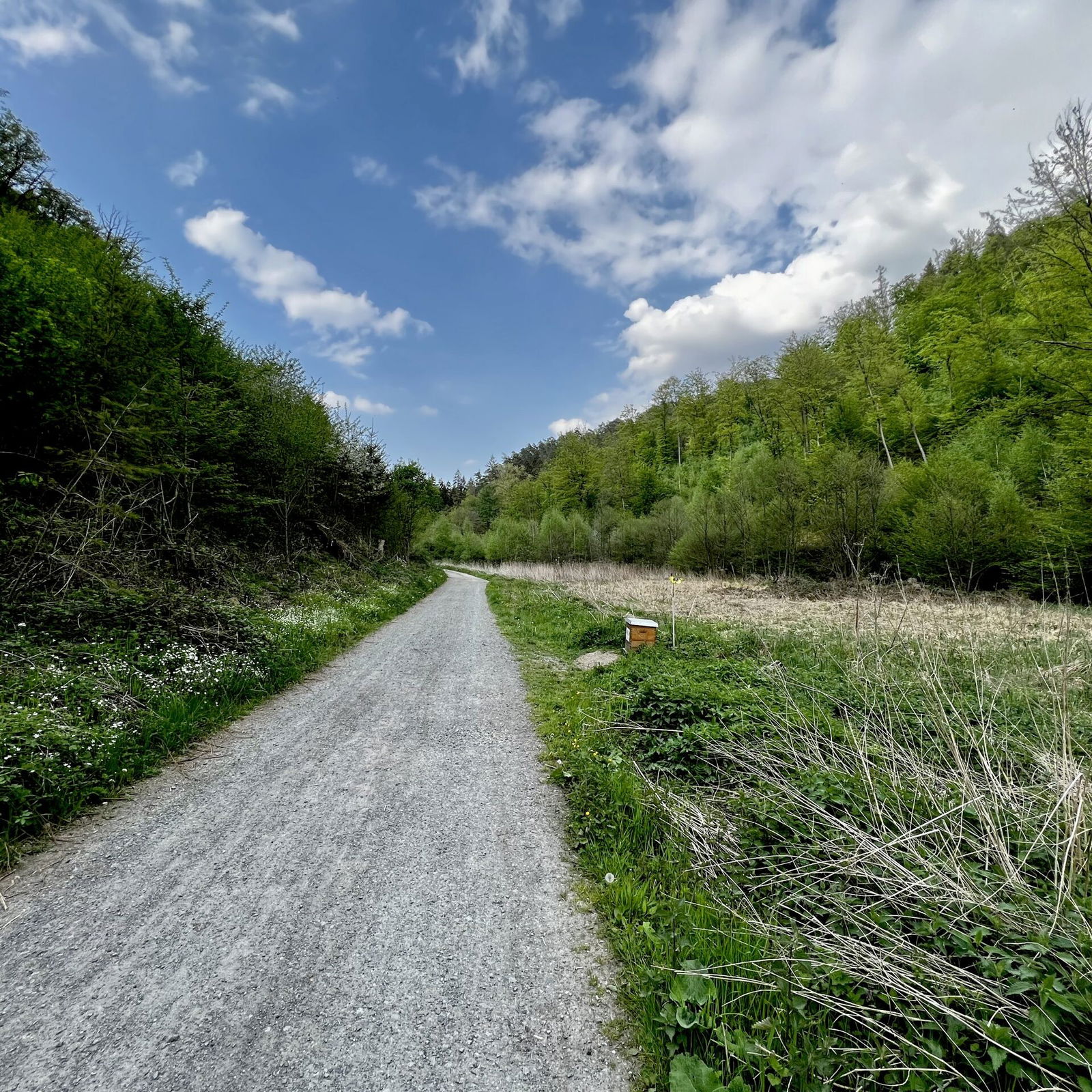 Im Feisteranchtbachtal