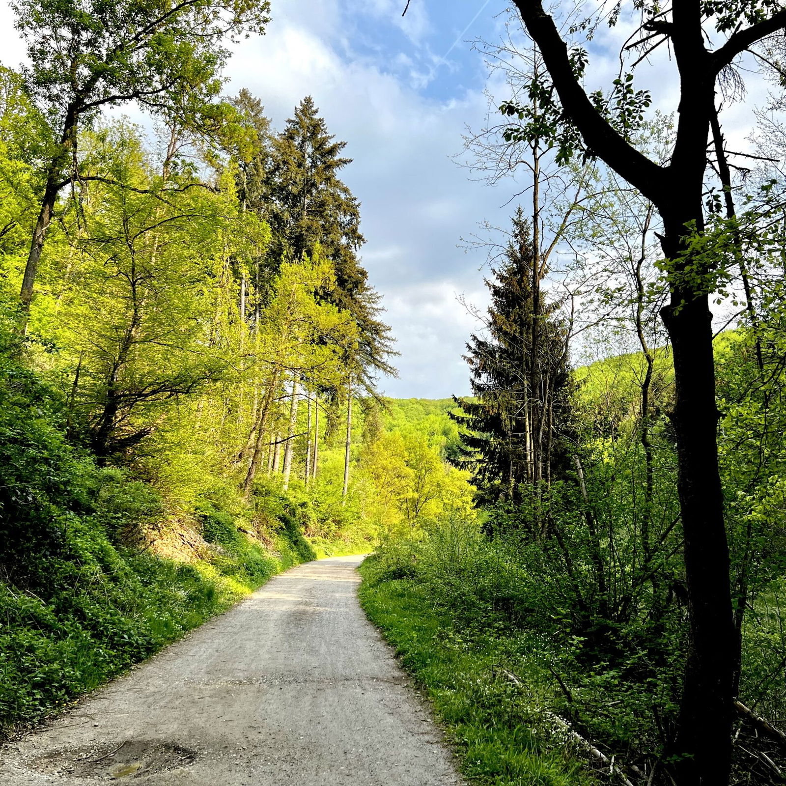 Schotterpiste im Feisternachtbachtal